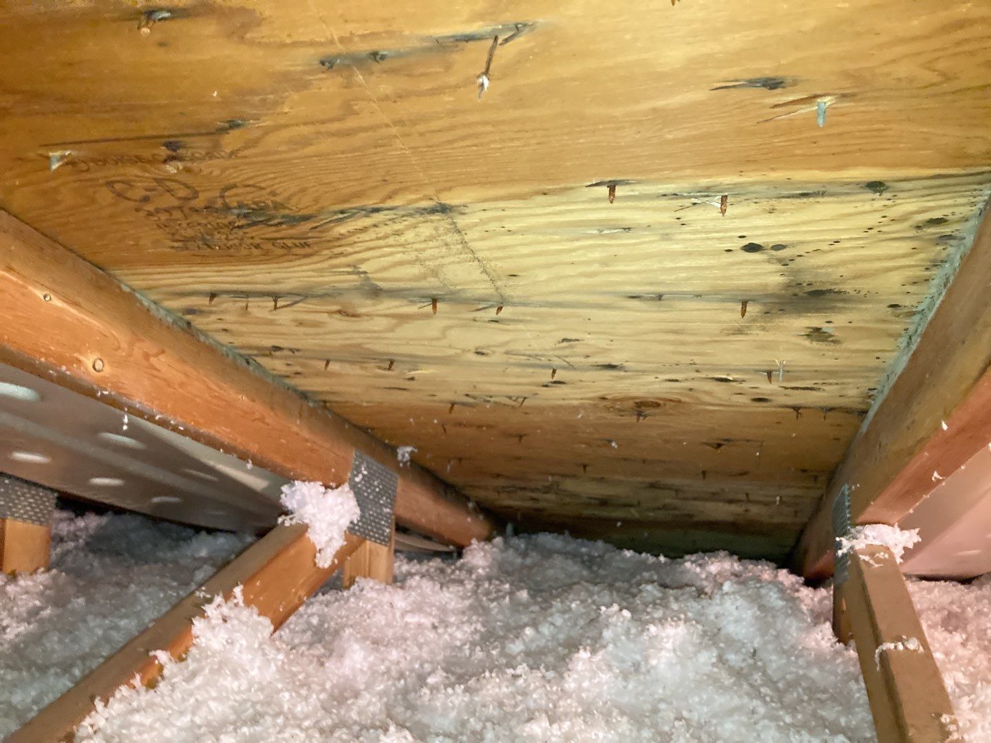 Mold Remediation in Attic by Accountable Home Services