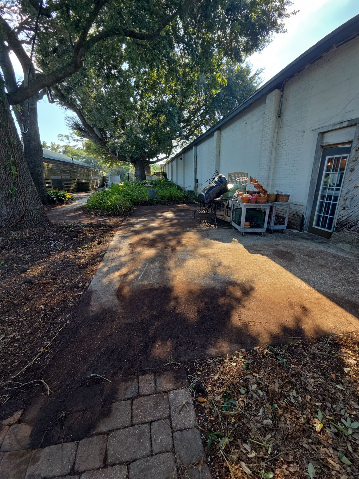 Commercial Property | Clean Up & Tree Removal by ProGreen Services