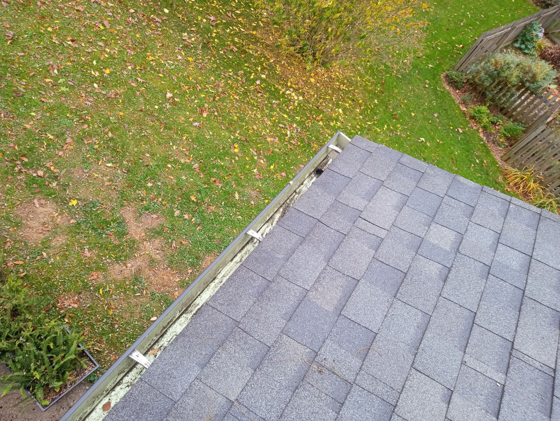 Tim Flanagan by Silver Leaf Contracting 