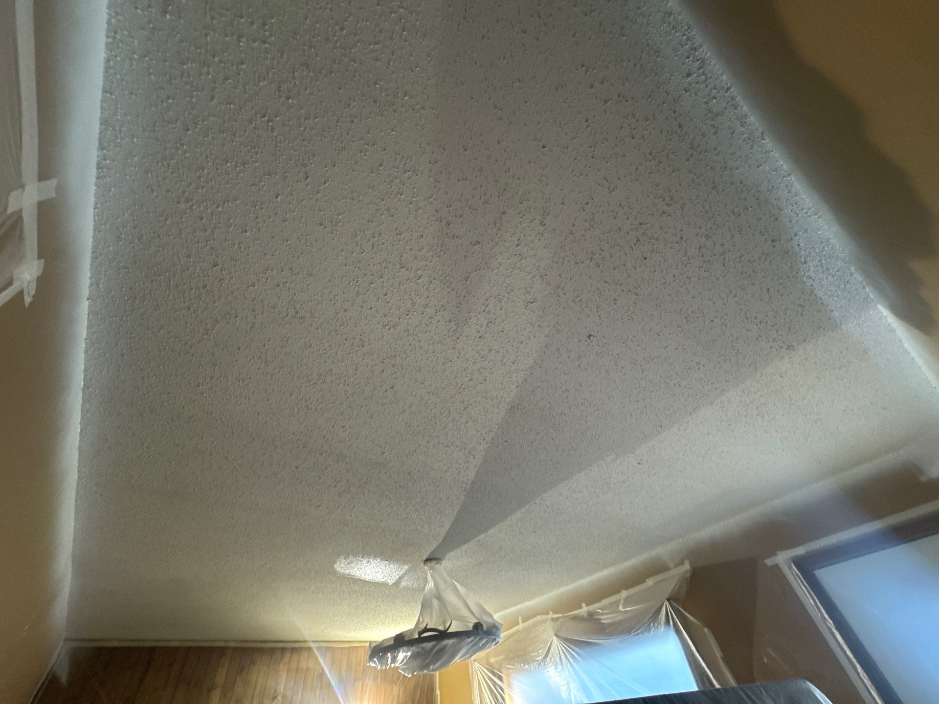Repaint Walls and Ceiling by Midwest Paint LLC