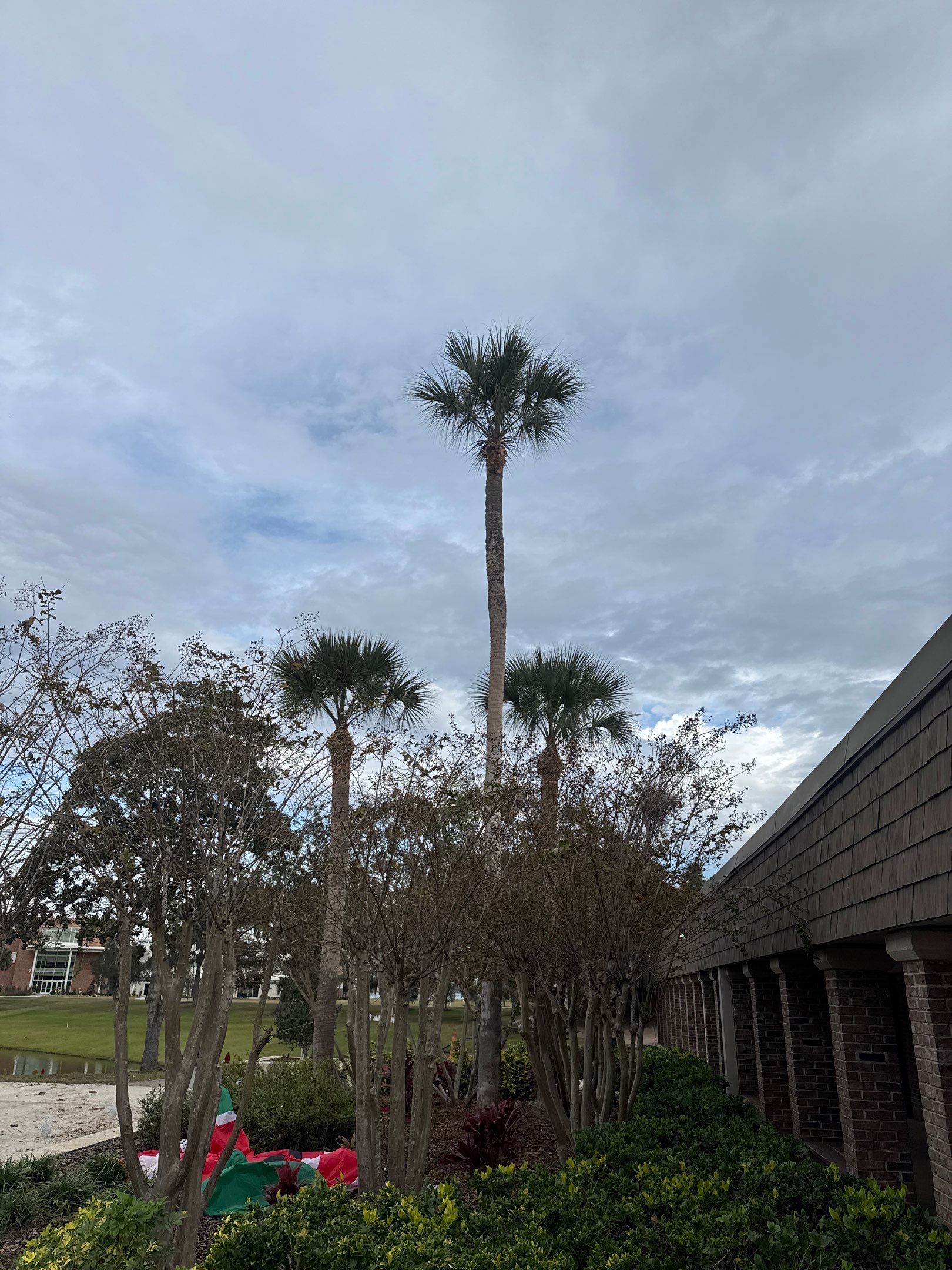 Volunteer Work | Episcopal High School of Jacksonville by ProGreen Services