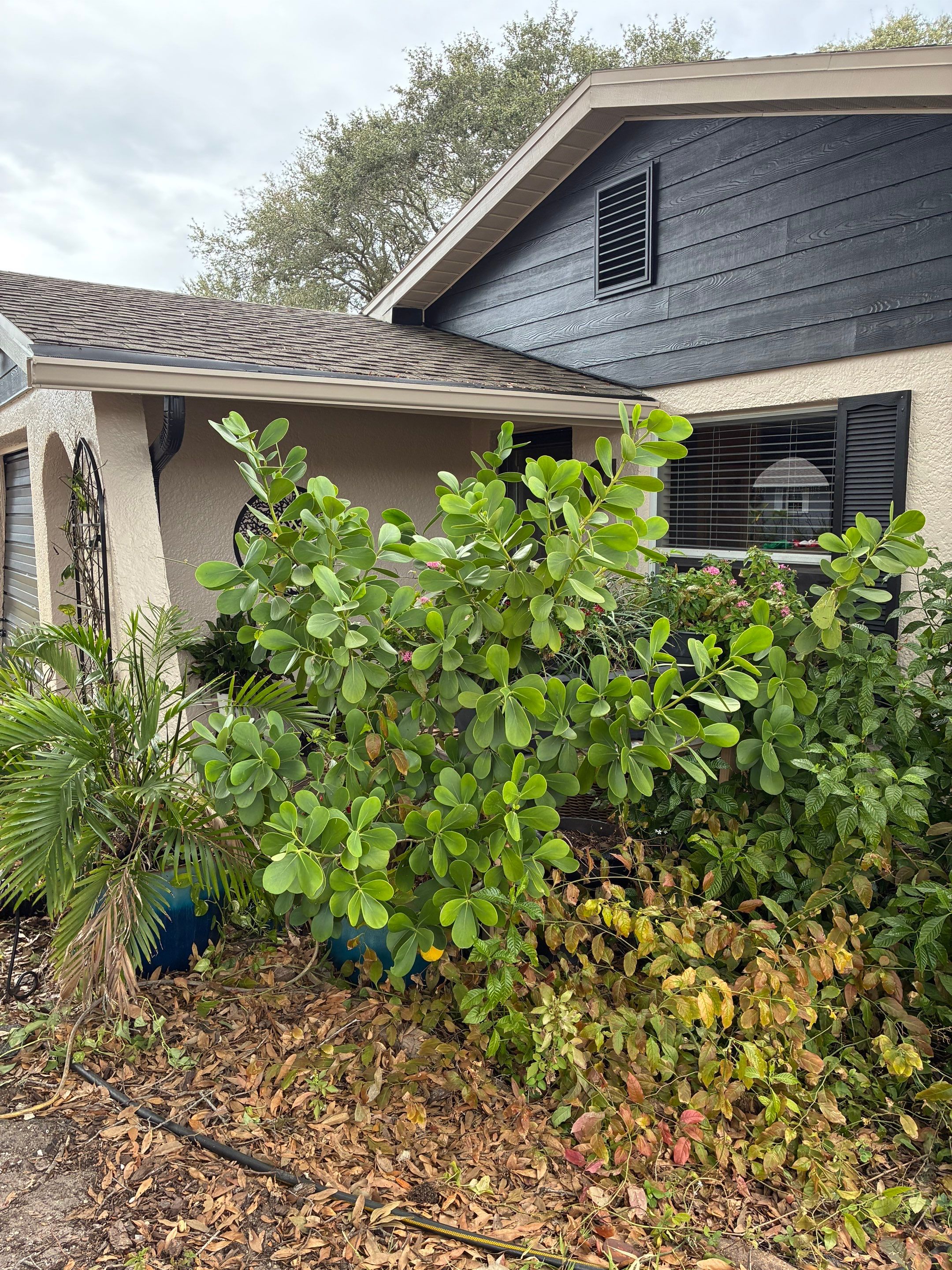 Project in Largo by Sunbelt Home Solutions