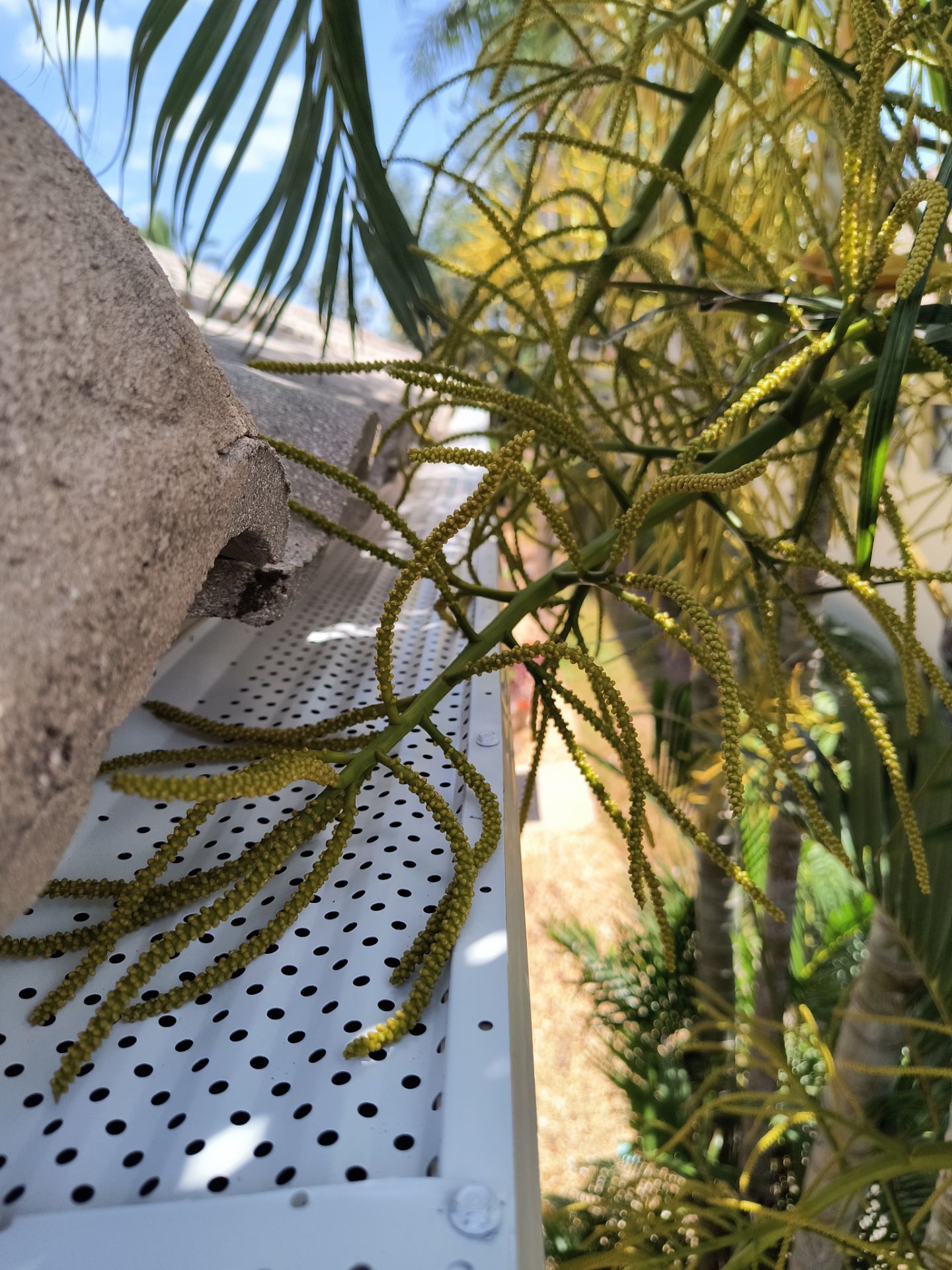 Gutter Guard Cleaning and Maintenance in Sarasota FL by Gutter Professors