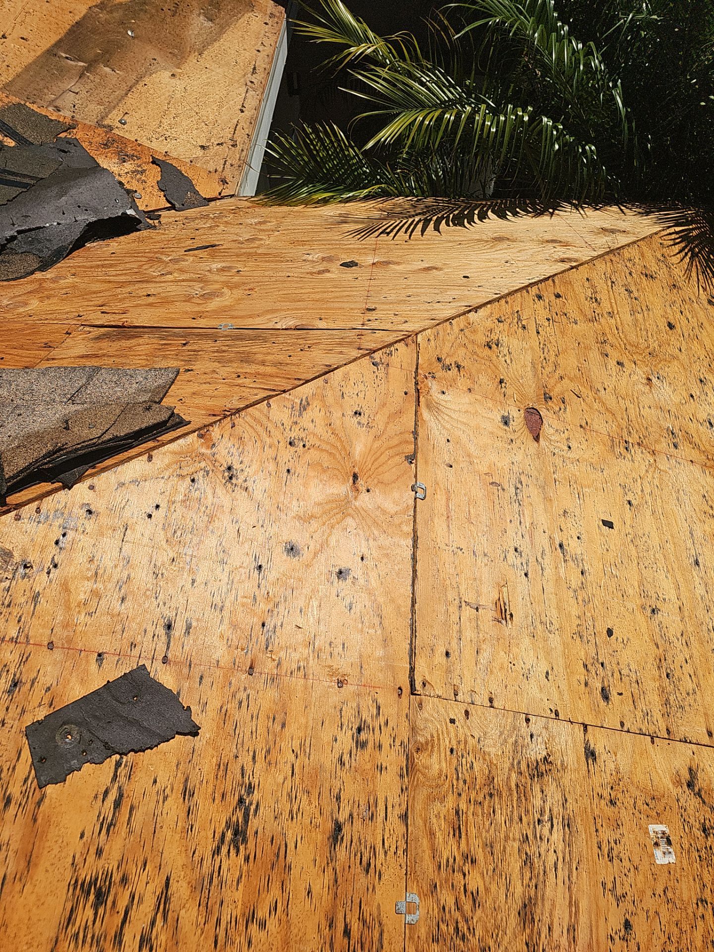 Project in St. Petersburg 33709 by Mitchell Roofing Company LLC 