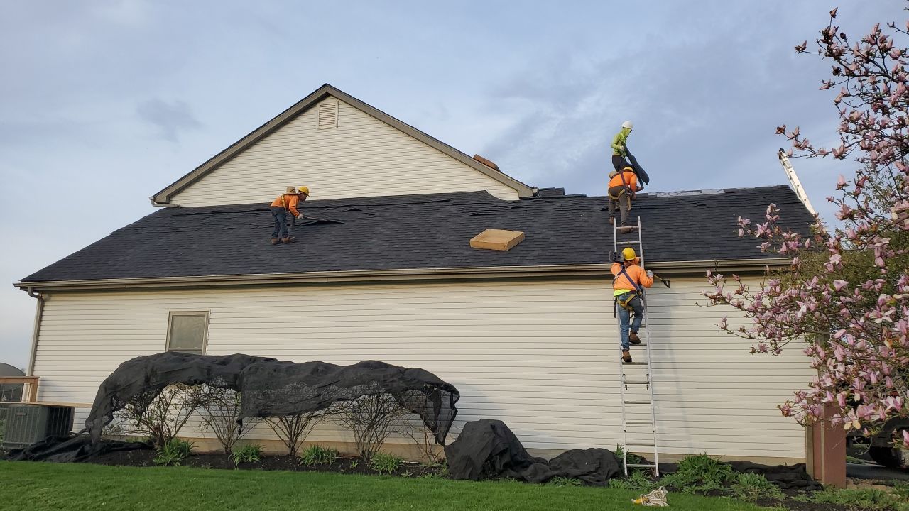 Kitchen Paint City, OH by 614 Exteriors