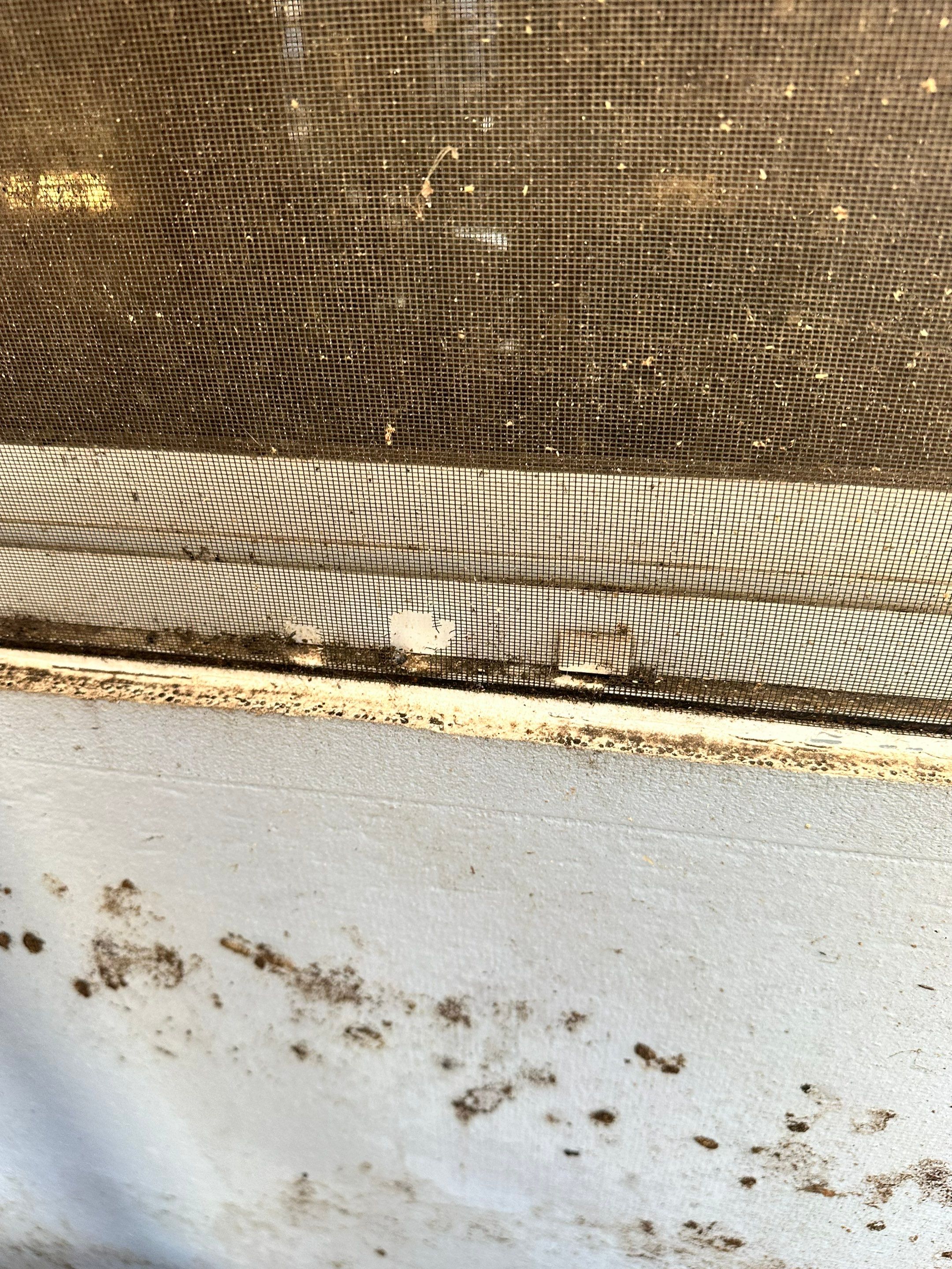 Project in North Port by Sunbelt Home Solutions