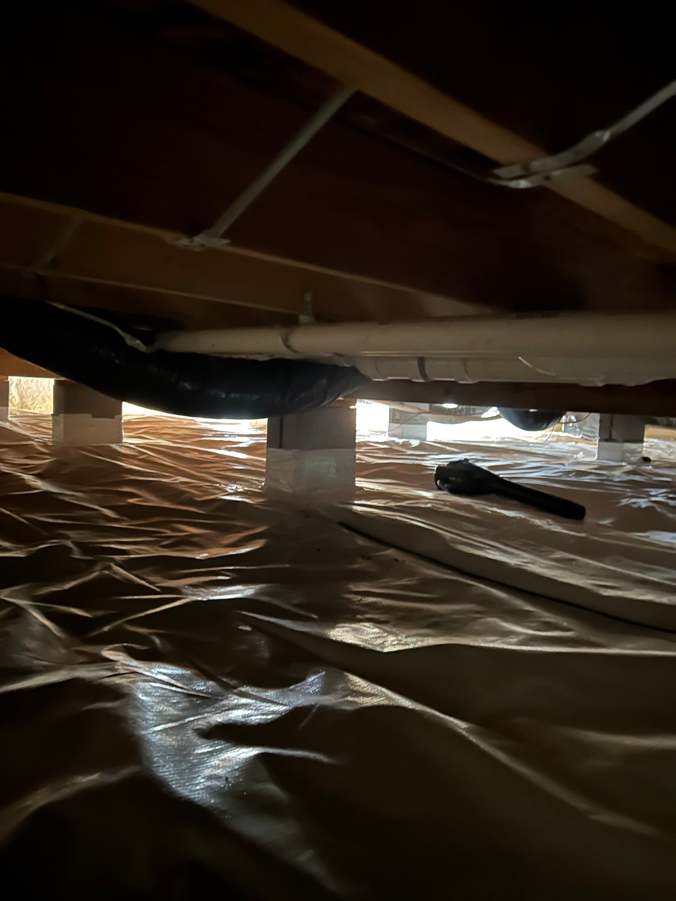Crawlspace Mold Remediation in Austin, IN by ANR Restoration