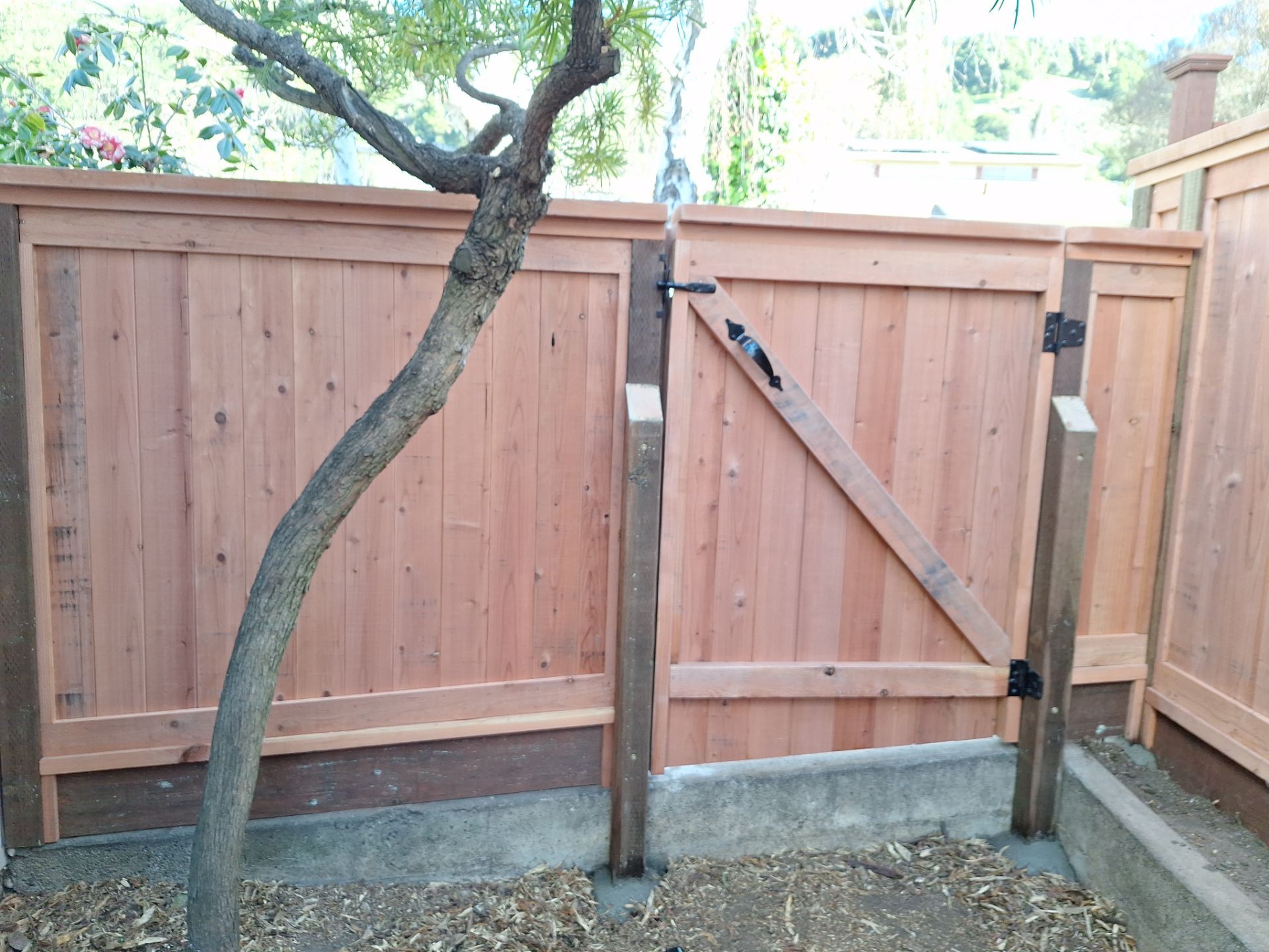 T&G with Cap by Fremont Fence Inc