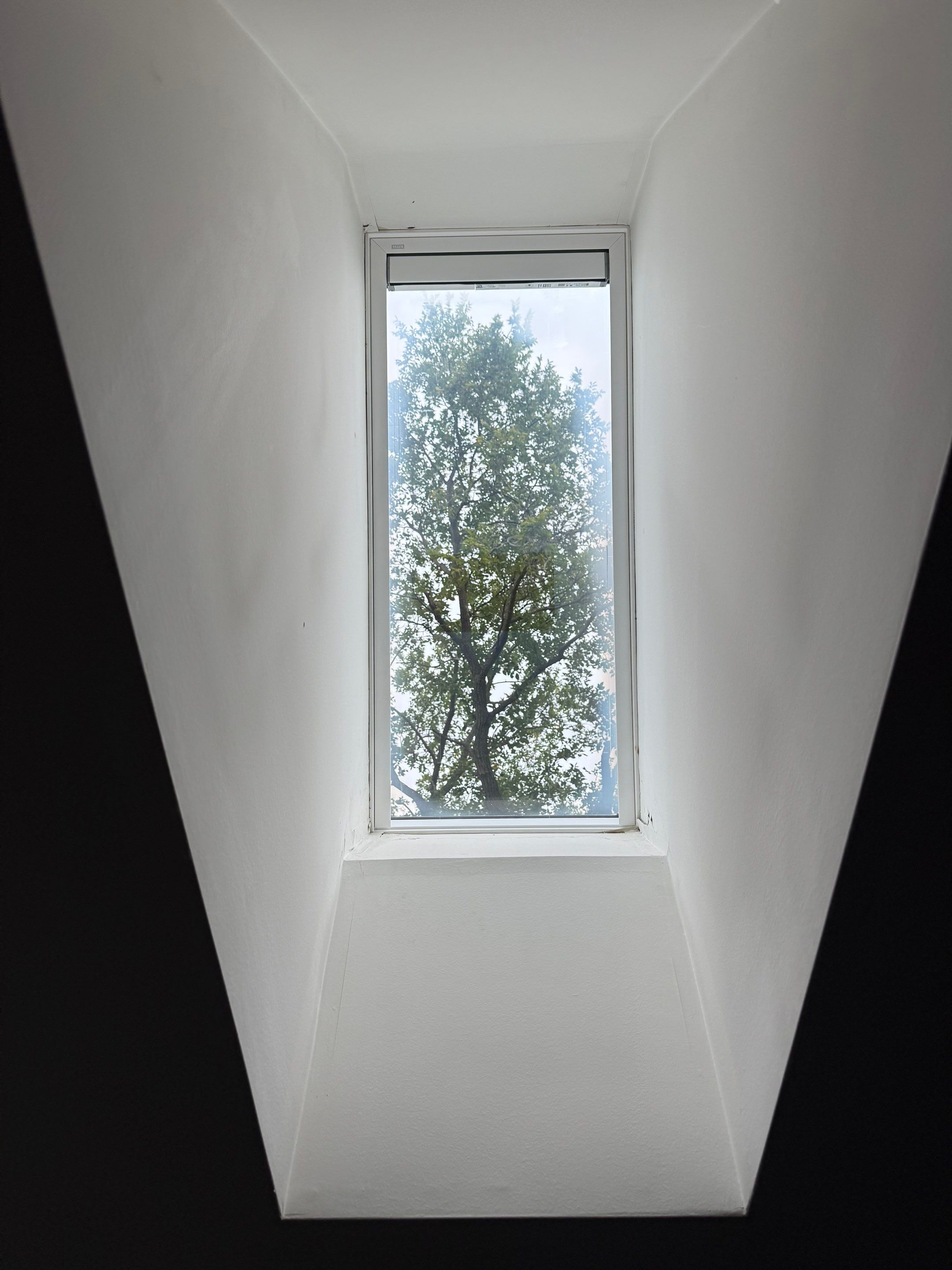 Roof and windows by Optimal Home Improvement 