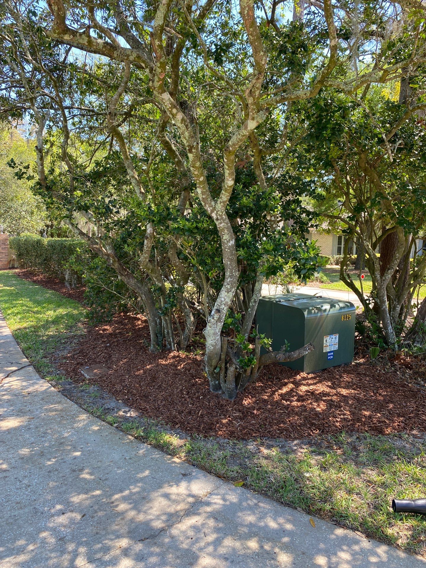 Deerwood Resident | Landscape Design by ProGreen Services