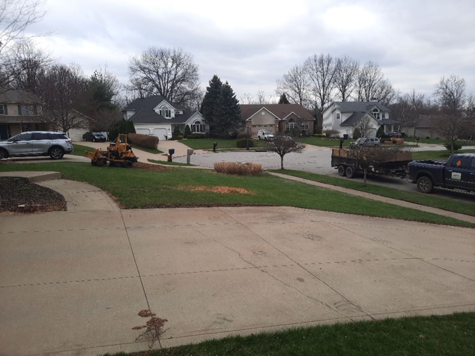 Tree Removal using Tree Removal by Mike Jones & Sons Tree Service LLC 