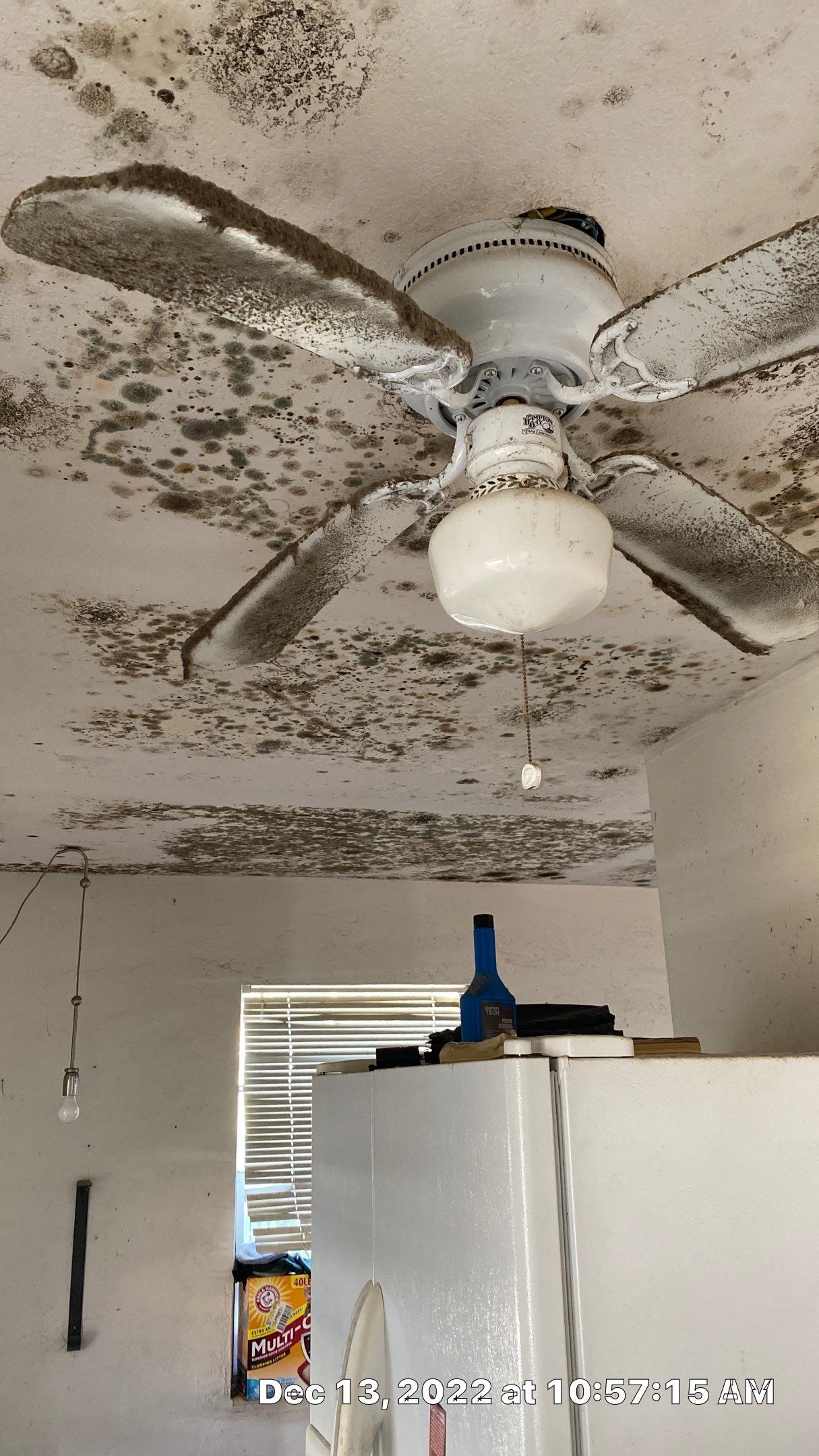 Mold Assesment using IR Camera, Moisture Meter, Air Cassatte samples and Tape lifts by Building performance Solutions LLC