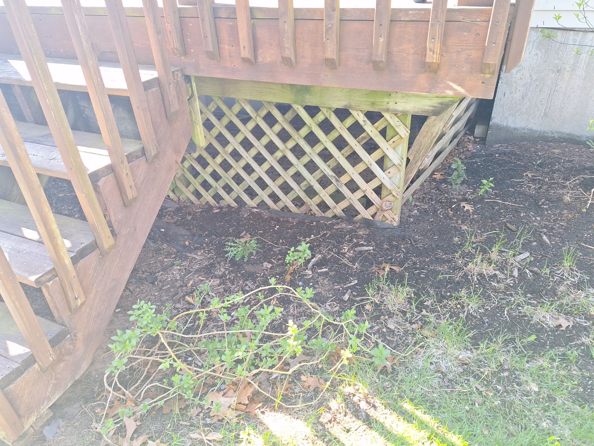 Deck Staining and Pressure Washing by Gordon Painting
