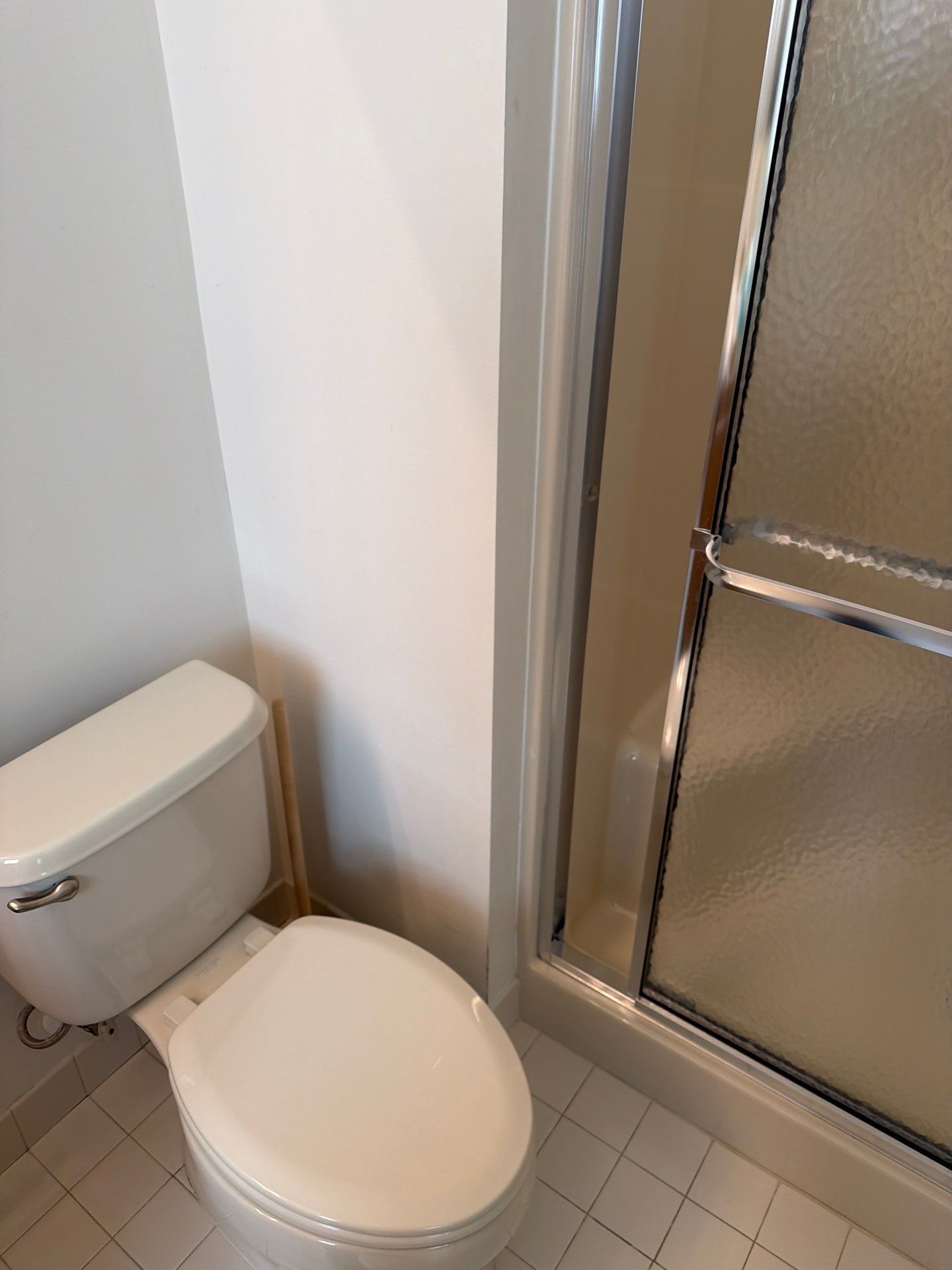 Bathroom Safety Upgrade – Grab Bar Installation in Two Bathrooms by Laser Focused Solutions LLC