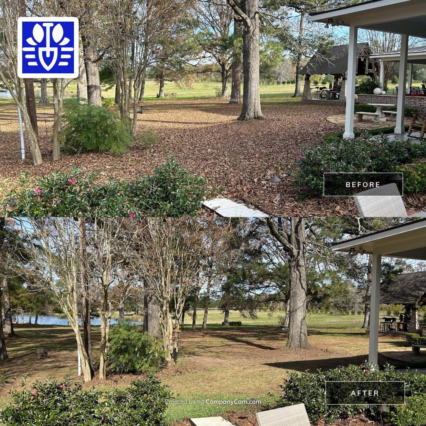 WINTER SERVICES: FULL LEAF JOB by CutScape, LLC.