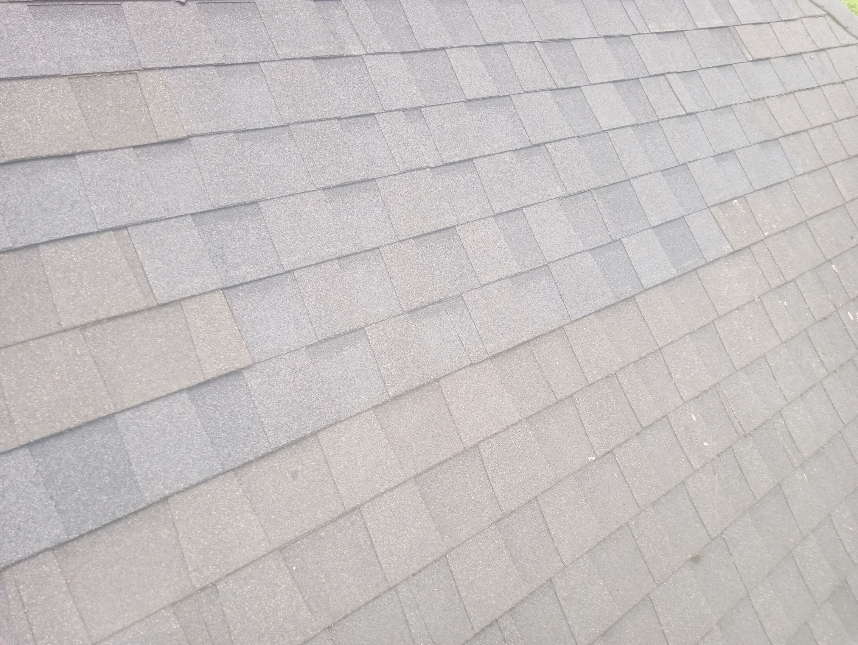 Judi Longacre by Silver Leaf Contracting 