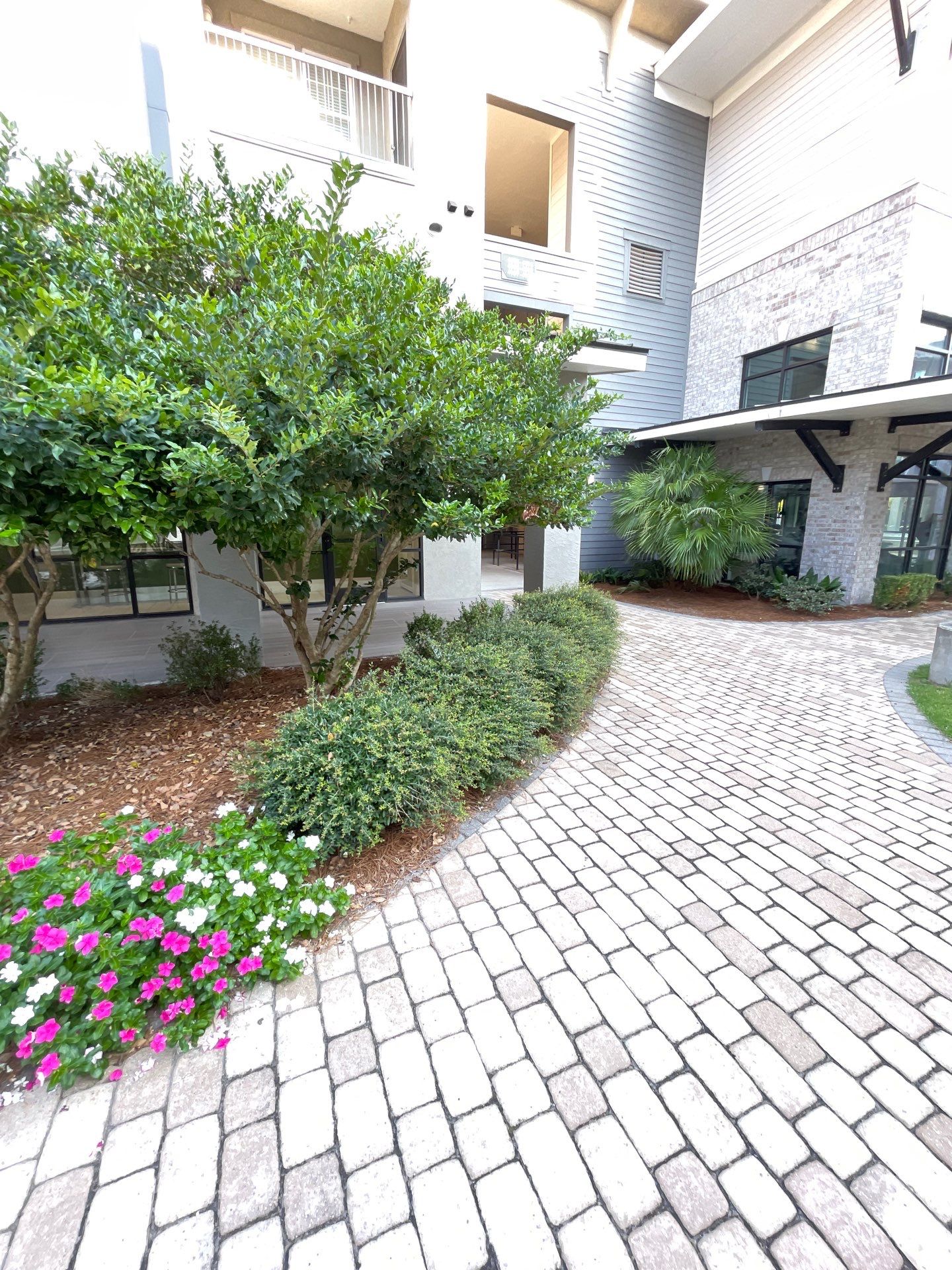 COMMERCIAL LAWN MAINTENANCE: HEDGE TRIM / BED CLEAN by CutScape, LLC.