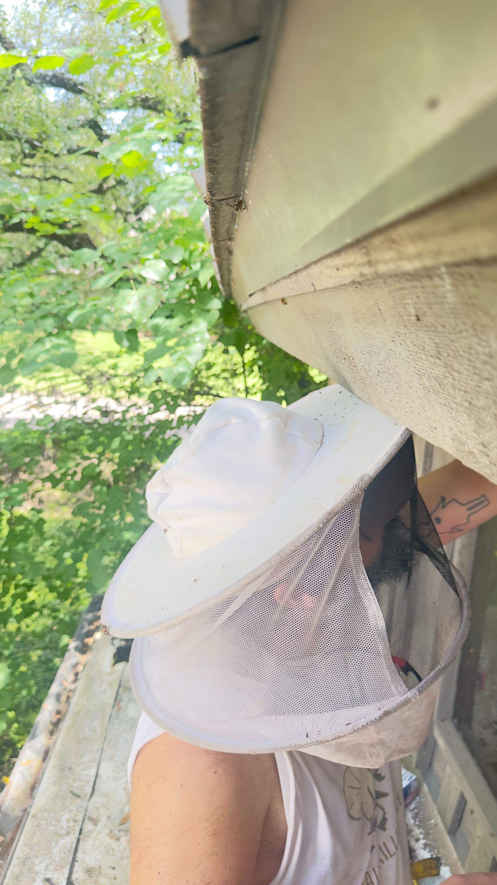 Old Faithful by Rockwall Honey Bee Company