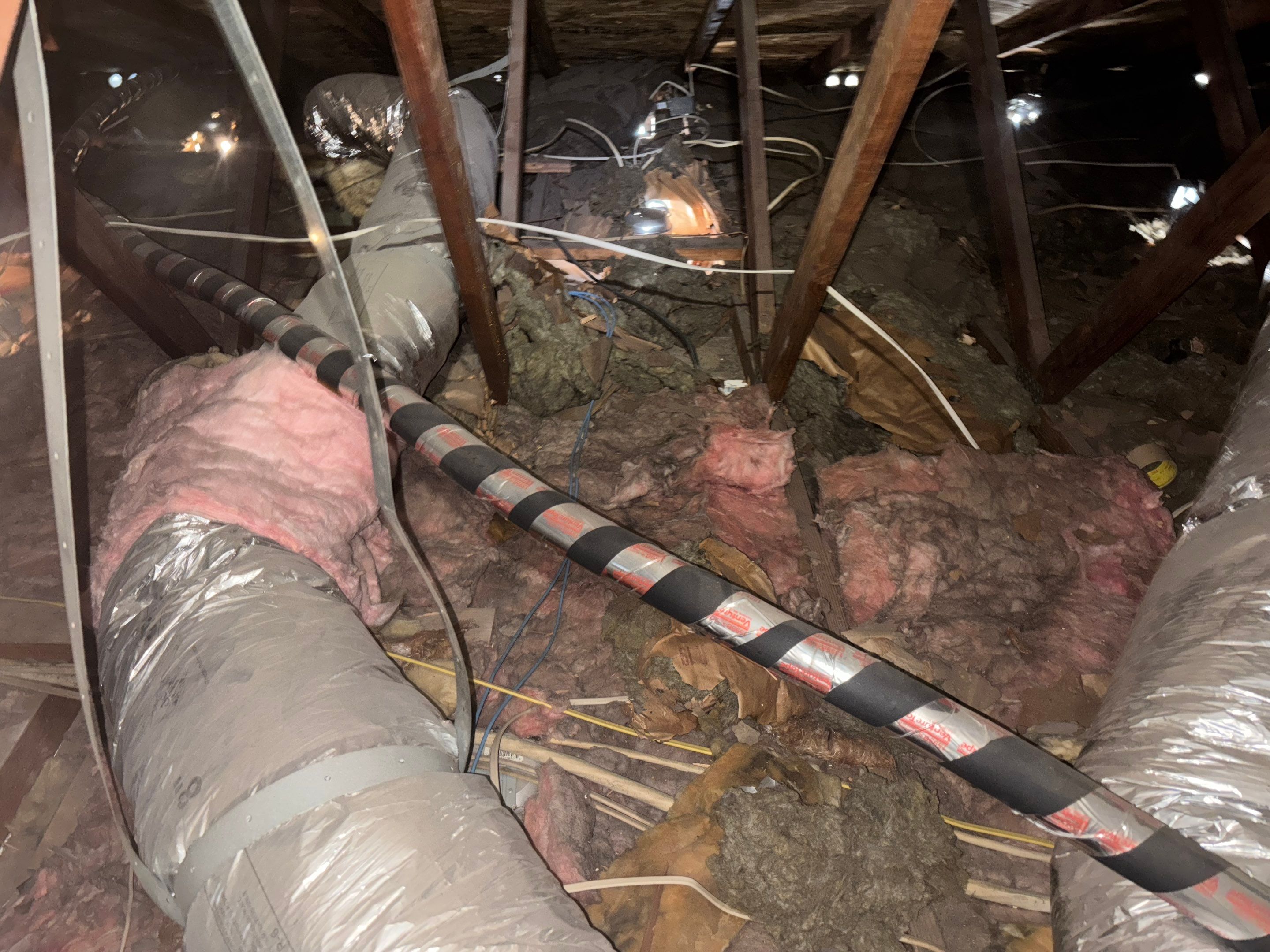 Project in Cerritos by Insulation Labs