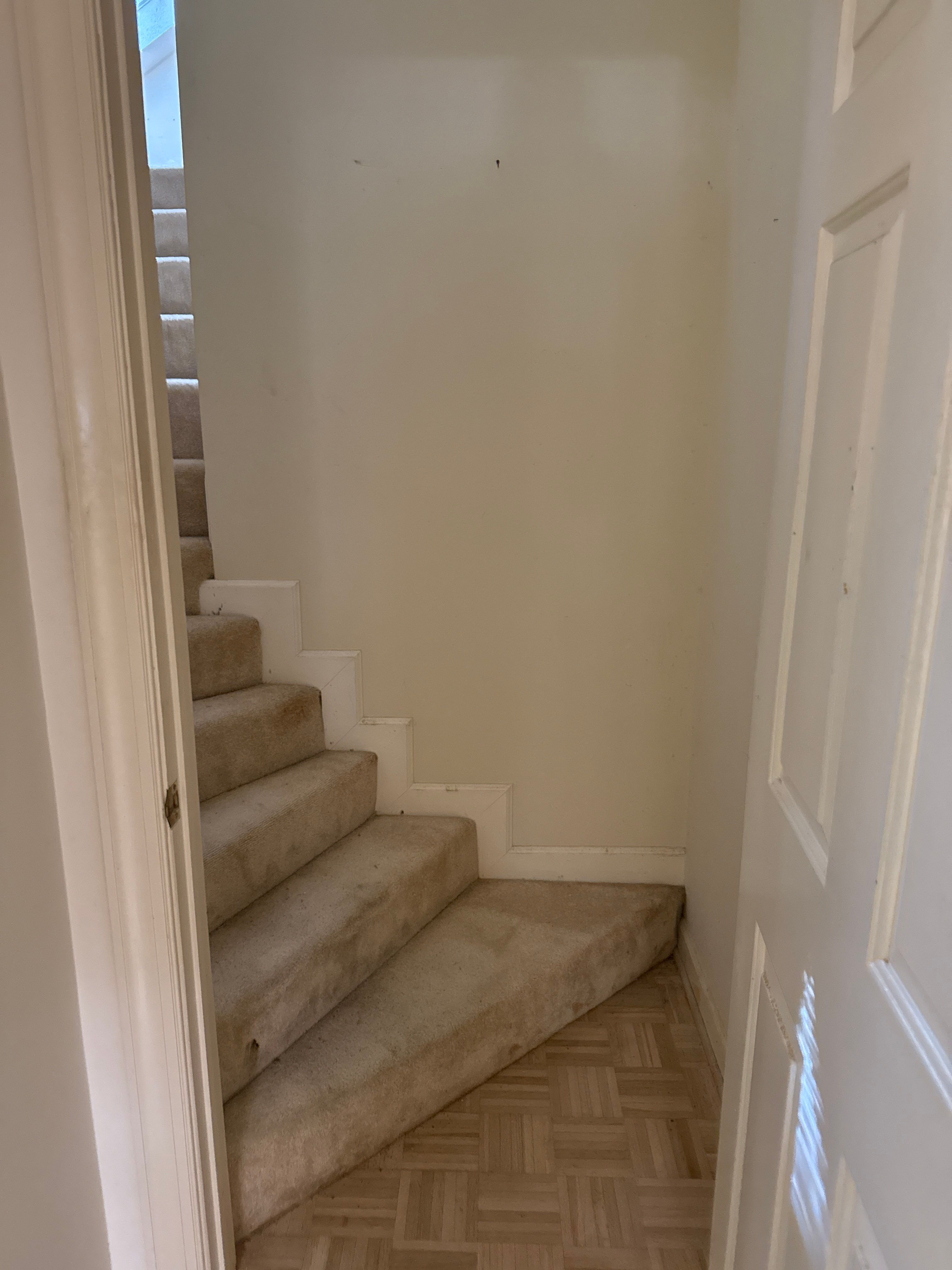 Sleepy Terrapin by TC Construction LLC