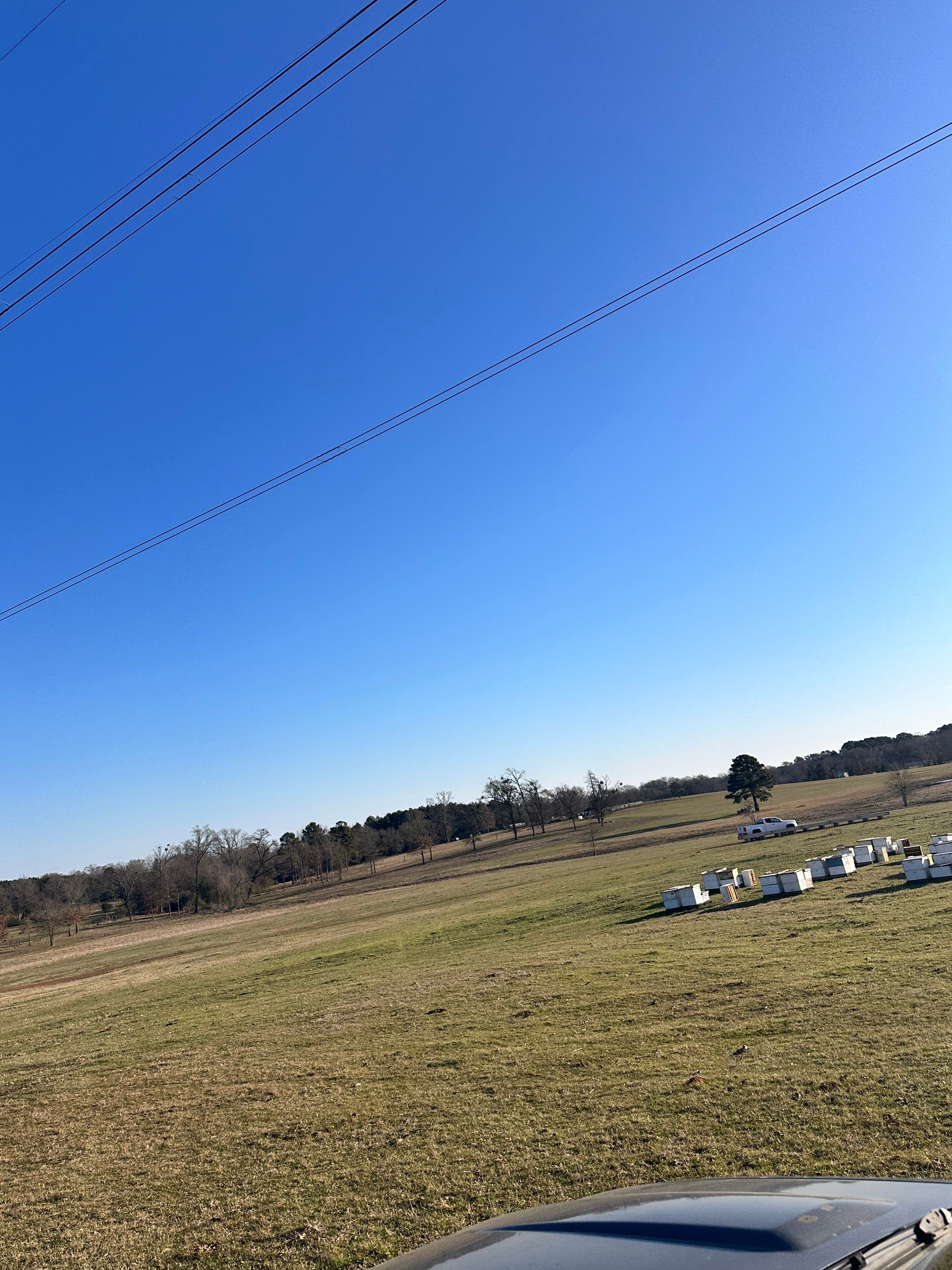 Clubb's Cow Farm Apiary by Rockwall Honey Bee Company