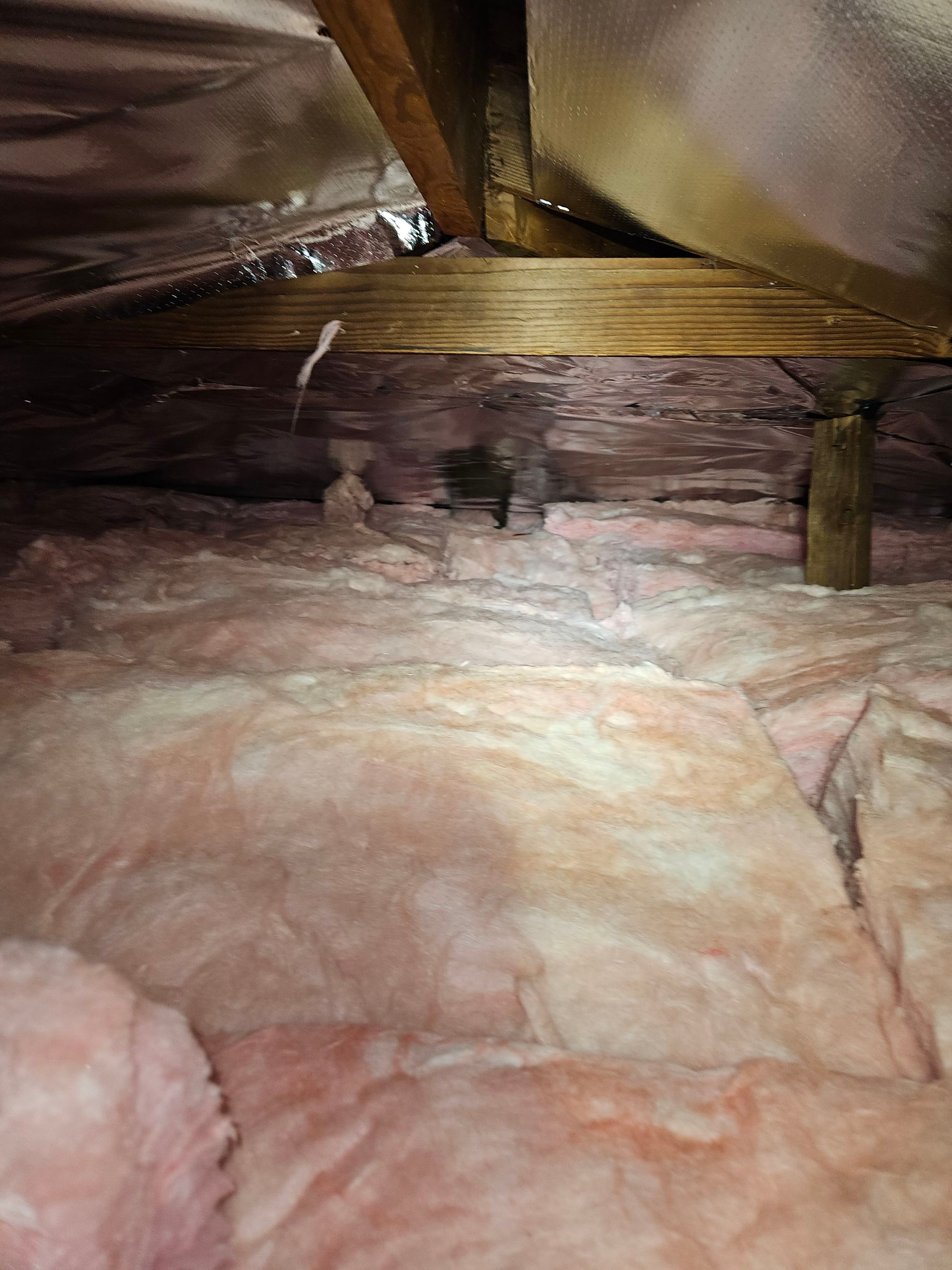 Project in Los Angeles by Insulation Labs