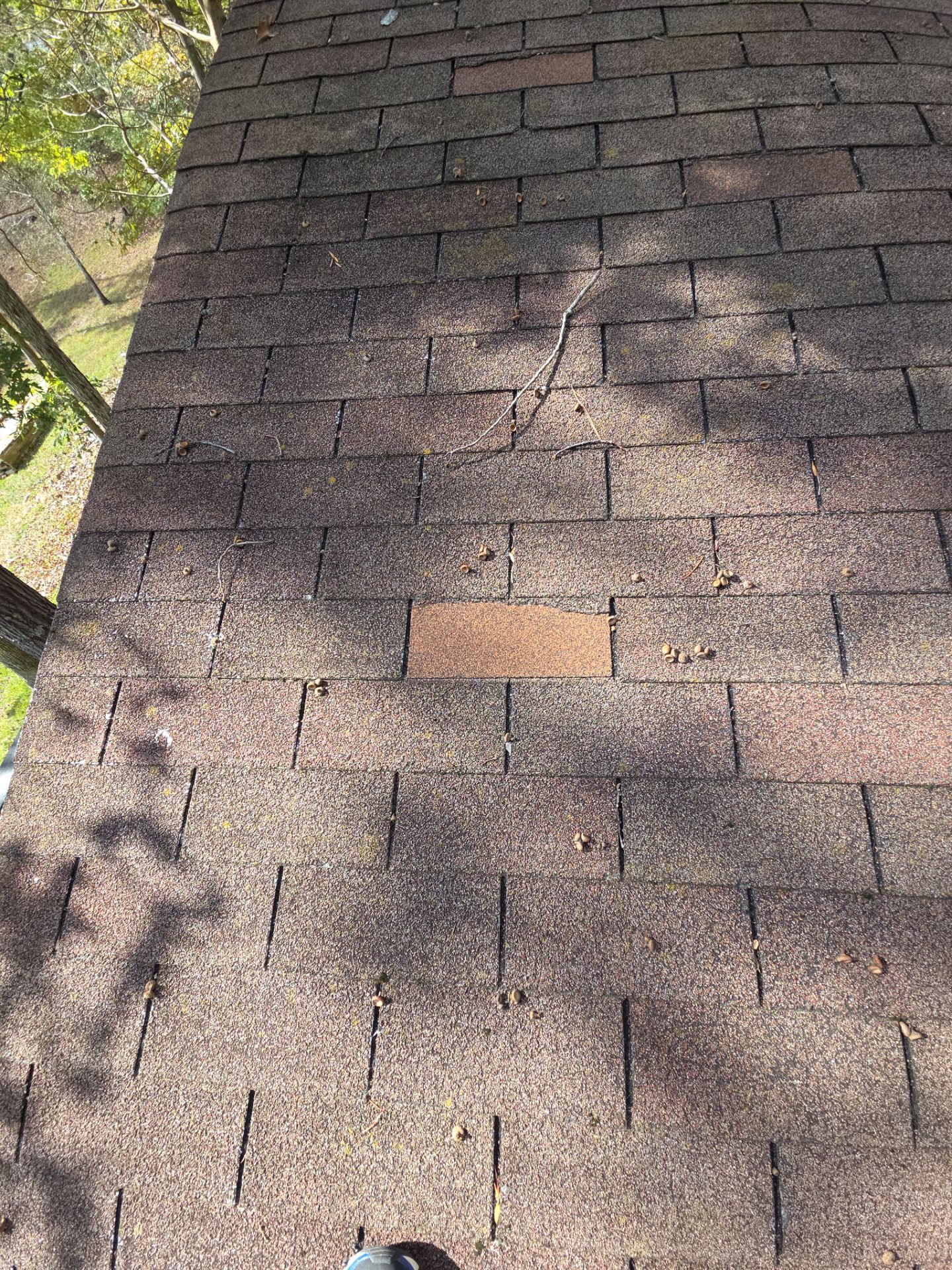 Metal Roof Installation in Arley by NANOROOF Alabama