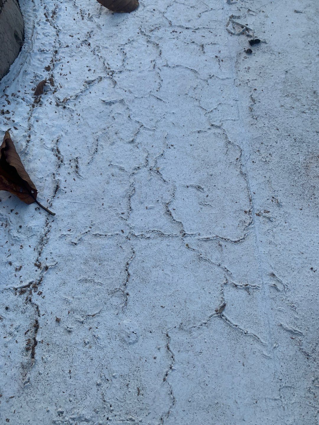 100% Silicone Roof Coating Repair using Tropical #924 Silicone Roof Coating by Morton Roofing, Inc.