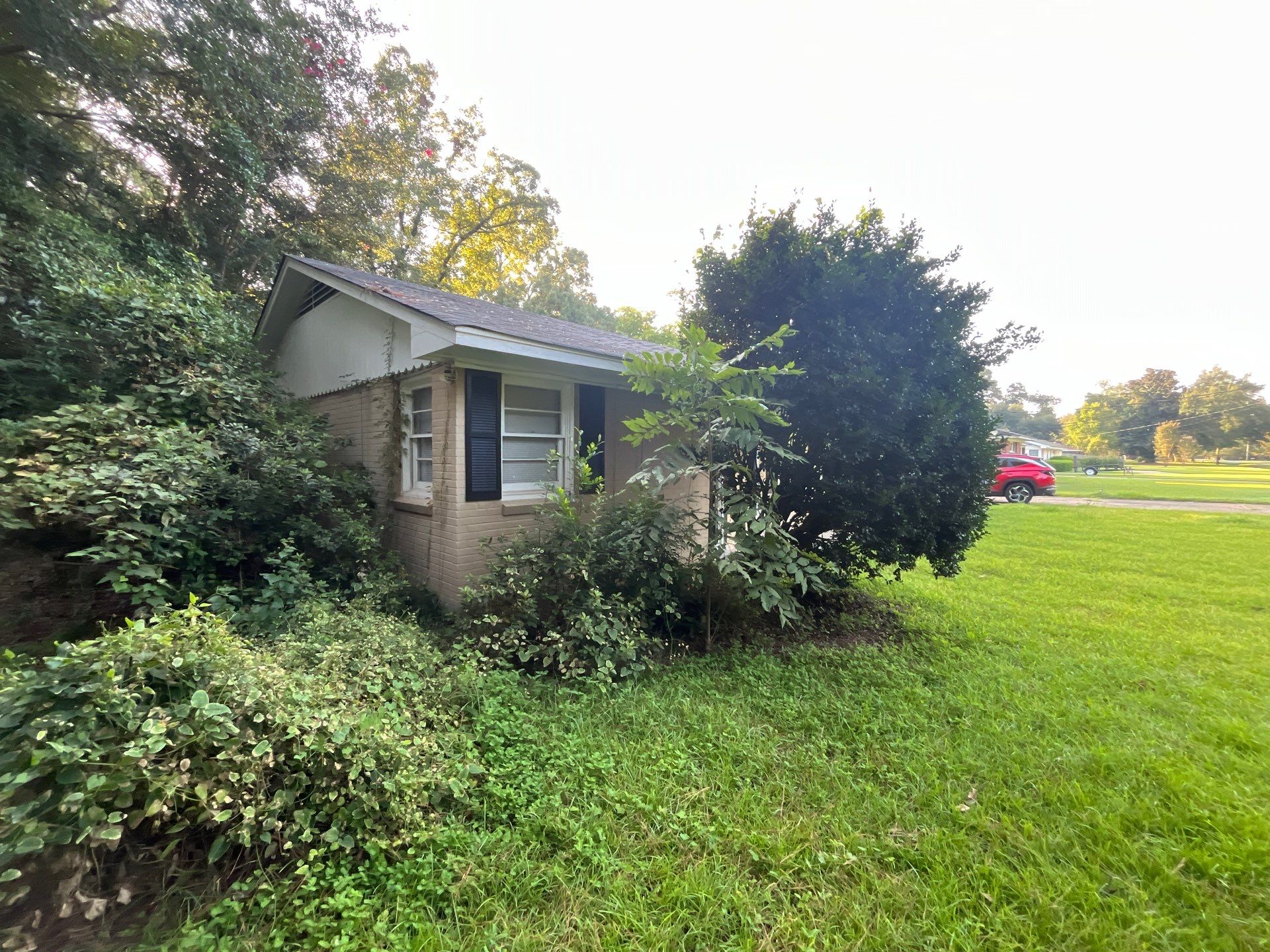 Yard Makeover by College Bros Outdoor services