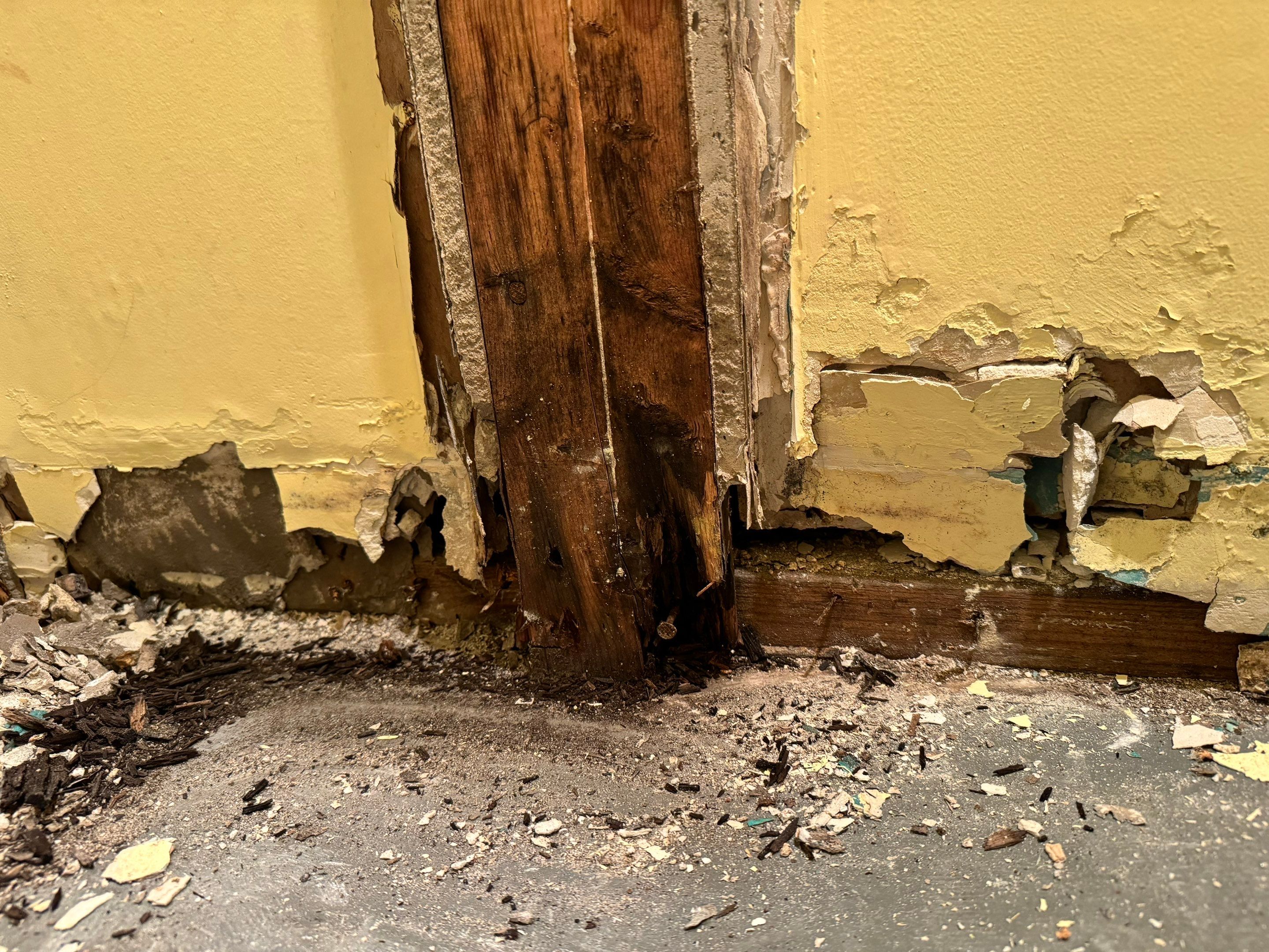Mold Remediation using Home Guarantee by Home Guarantee, LLC