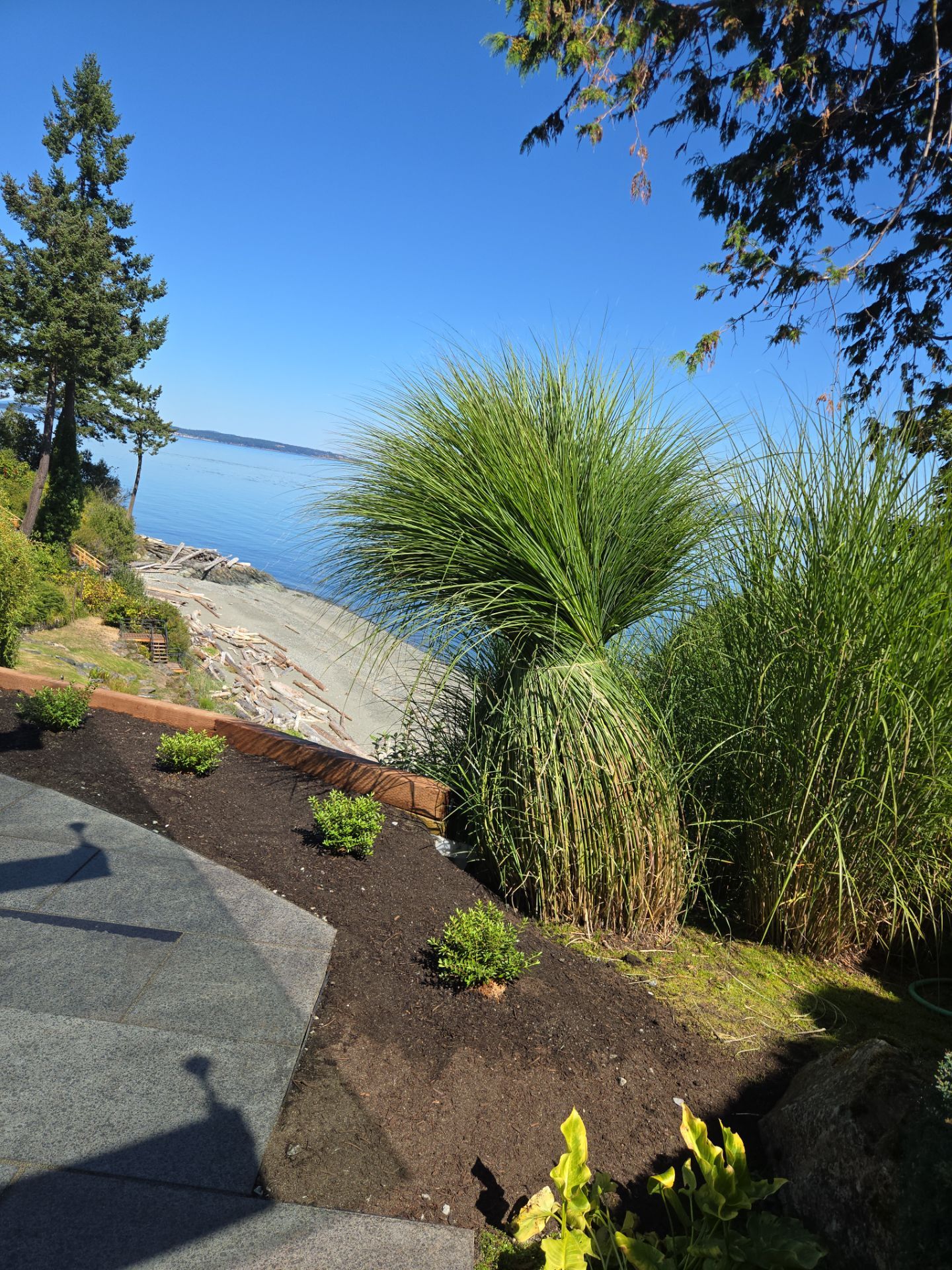 Patio Edge Stabilization & Romex Upgrade by Habanero Garden and Exterior Care