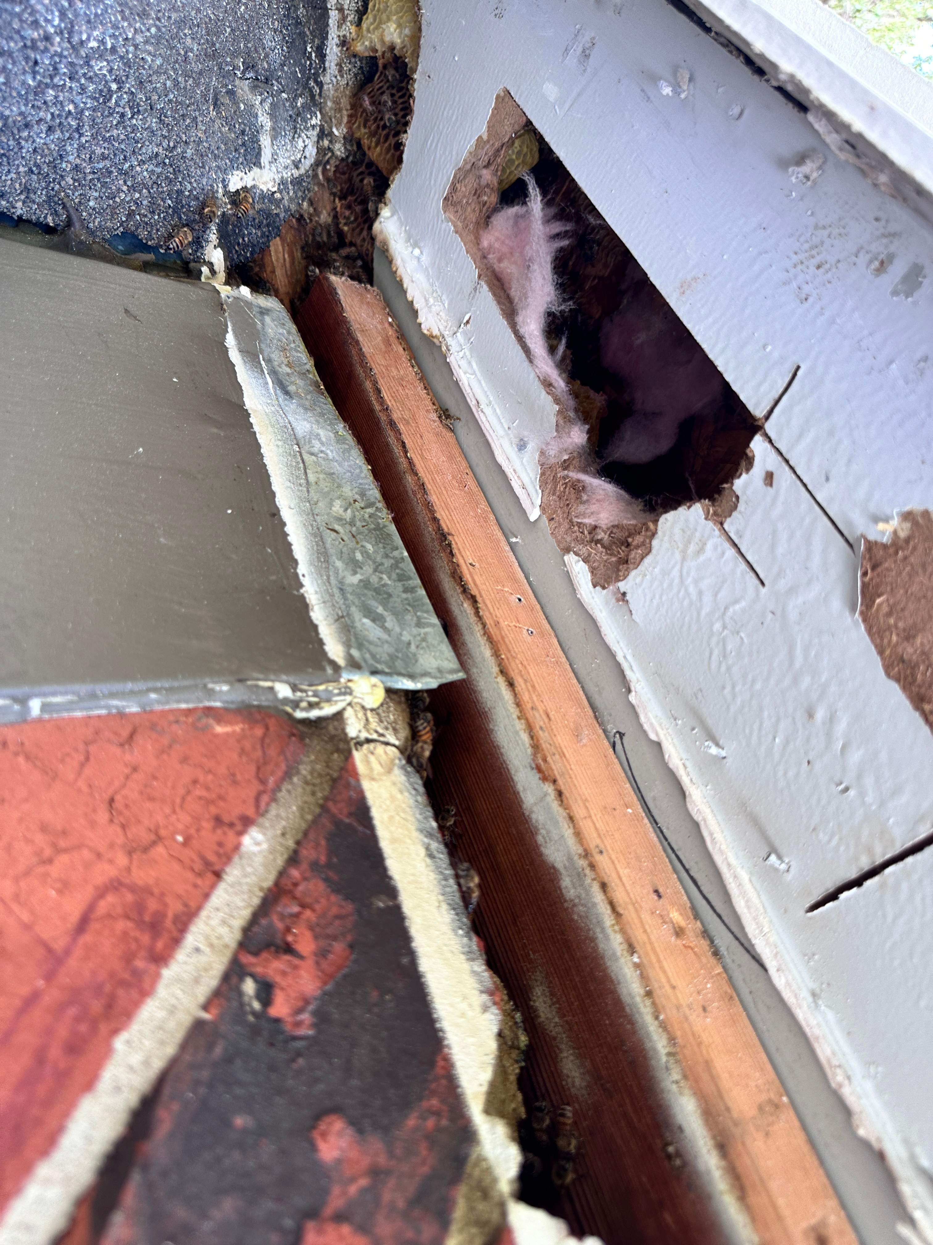 Elevated by Rockwall Honey Bee Company