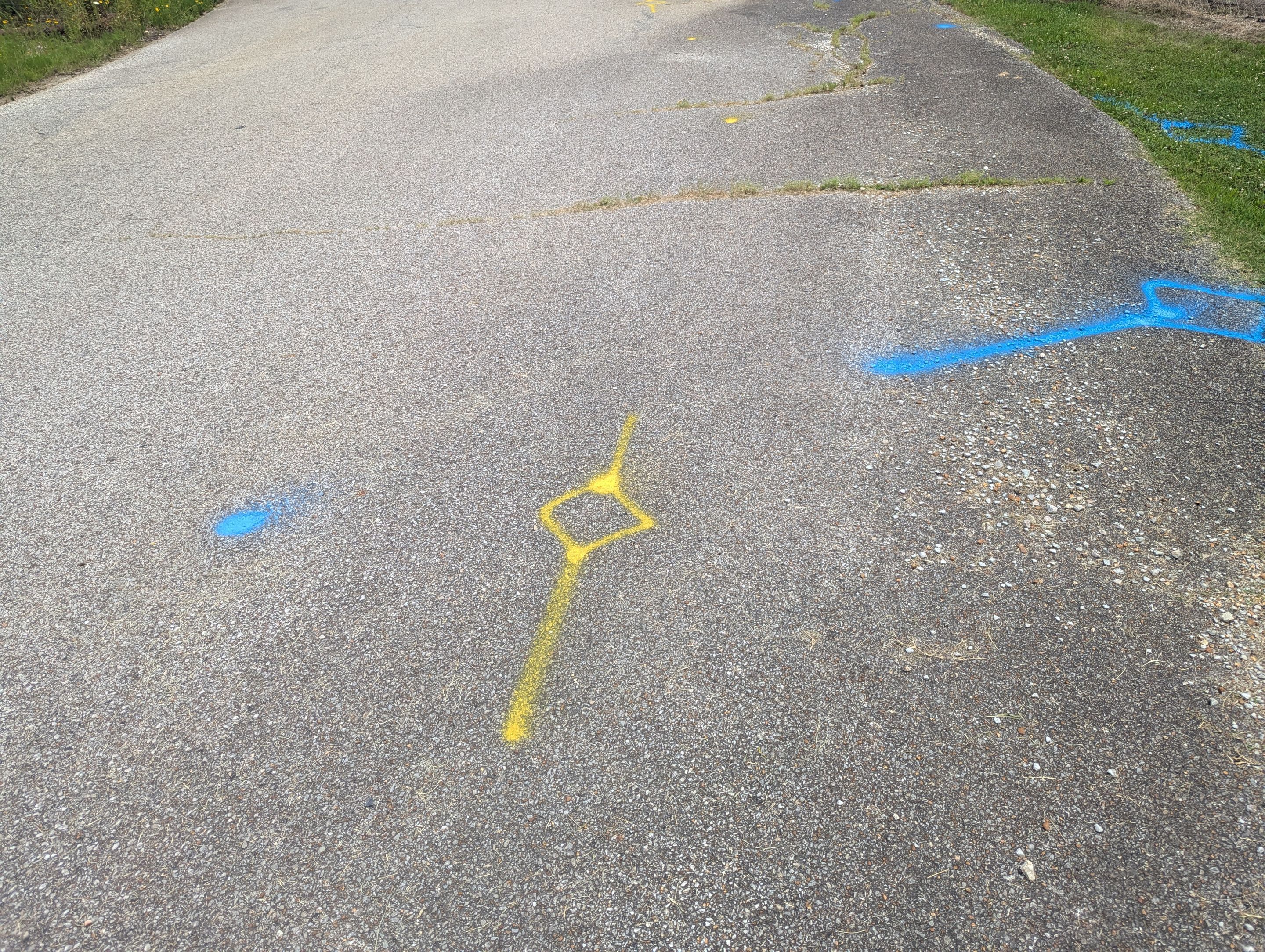 Utility Locate and GPR (School Project) by Alsip Locating Service, LLC