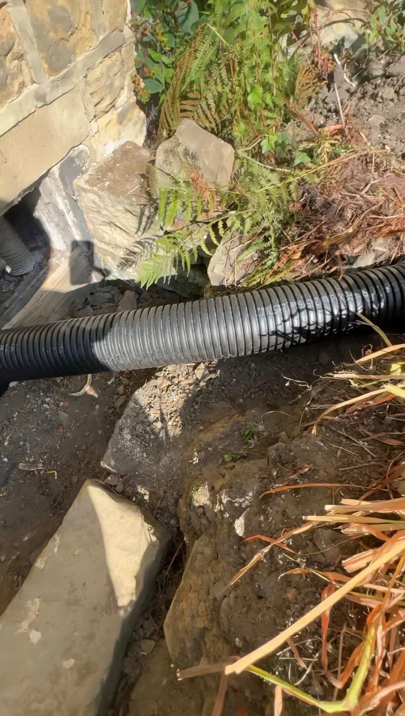 🏡🔥 Overcoming Constraints with Smart Design by Elite Services Group Ltd