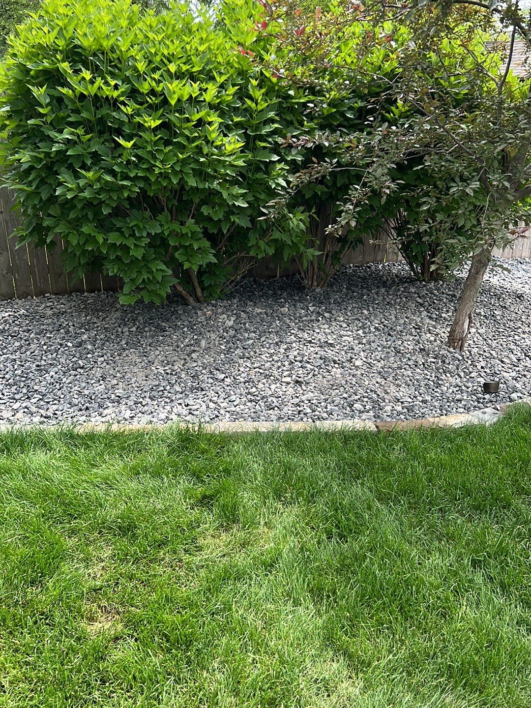 Landscape upadates. by New Horizon Landscapes