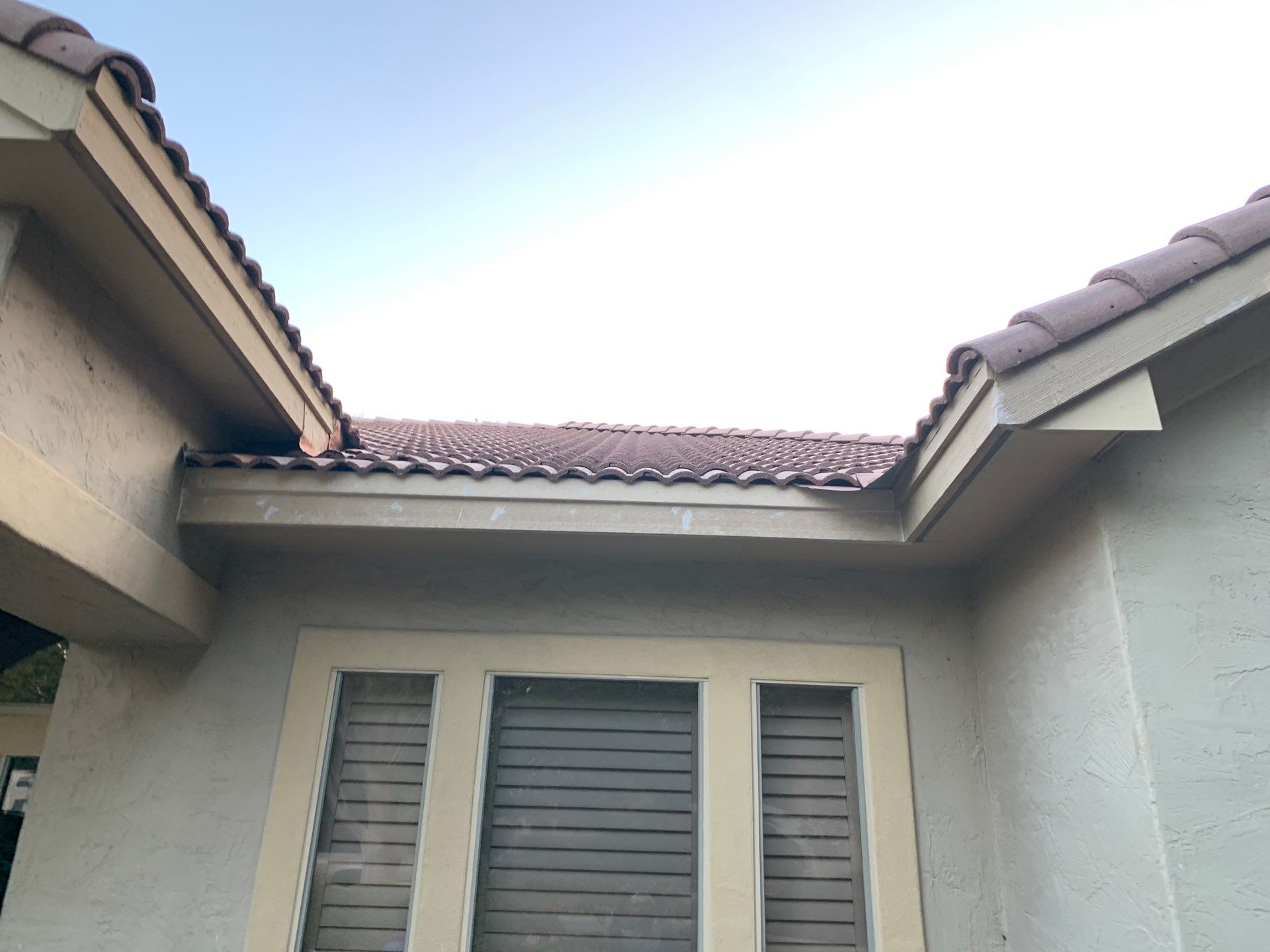 Fascia Carpentry Repair and Paint  by Rox Roofing