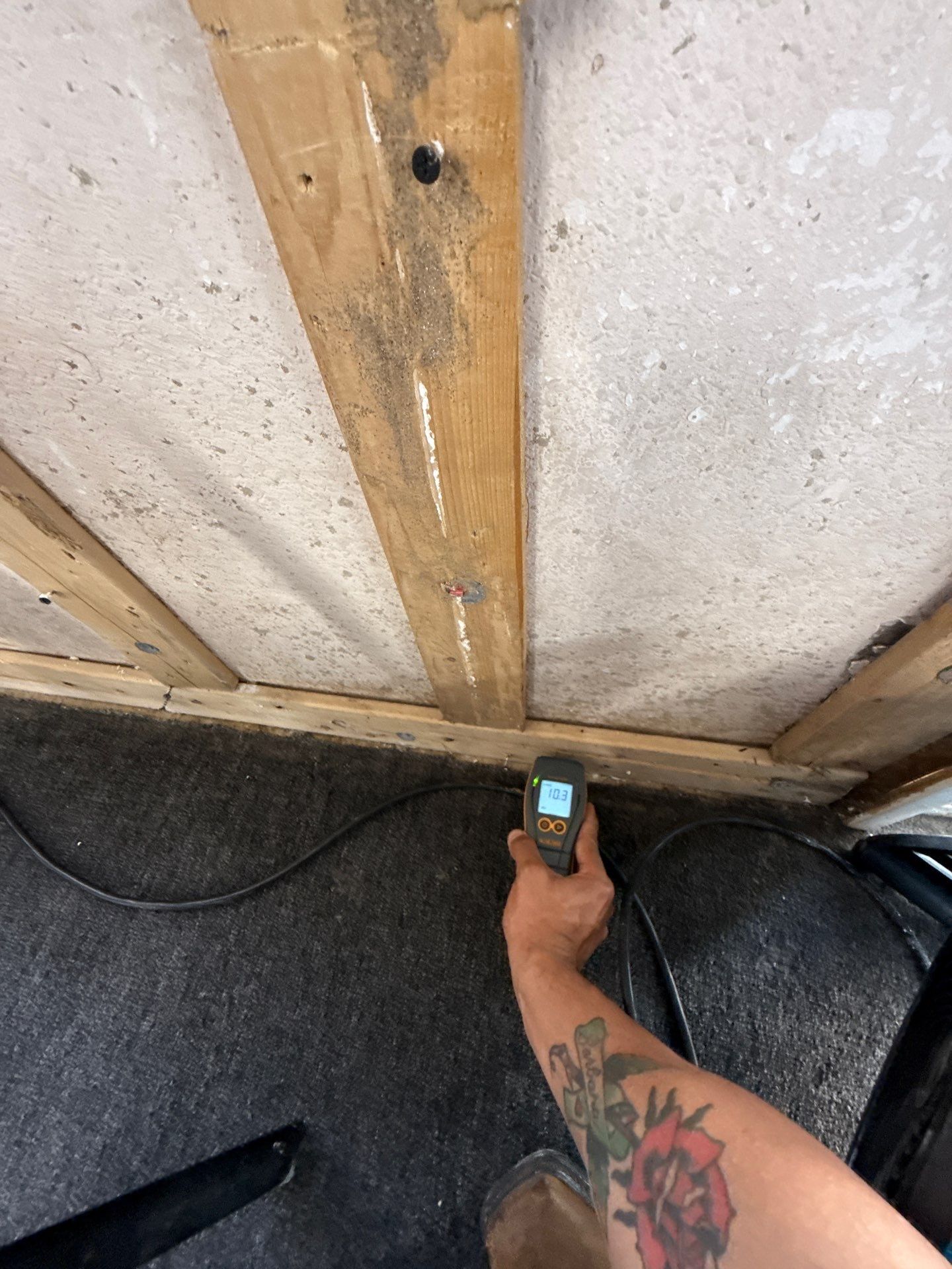 Project in Harlingen by First Response Restoration LLC