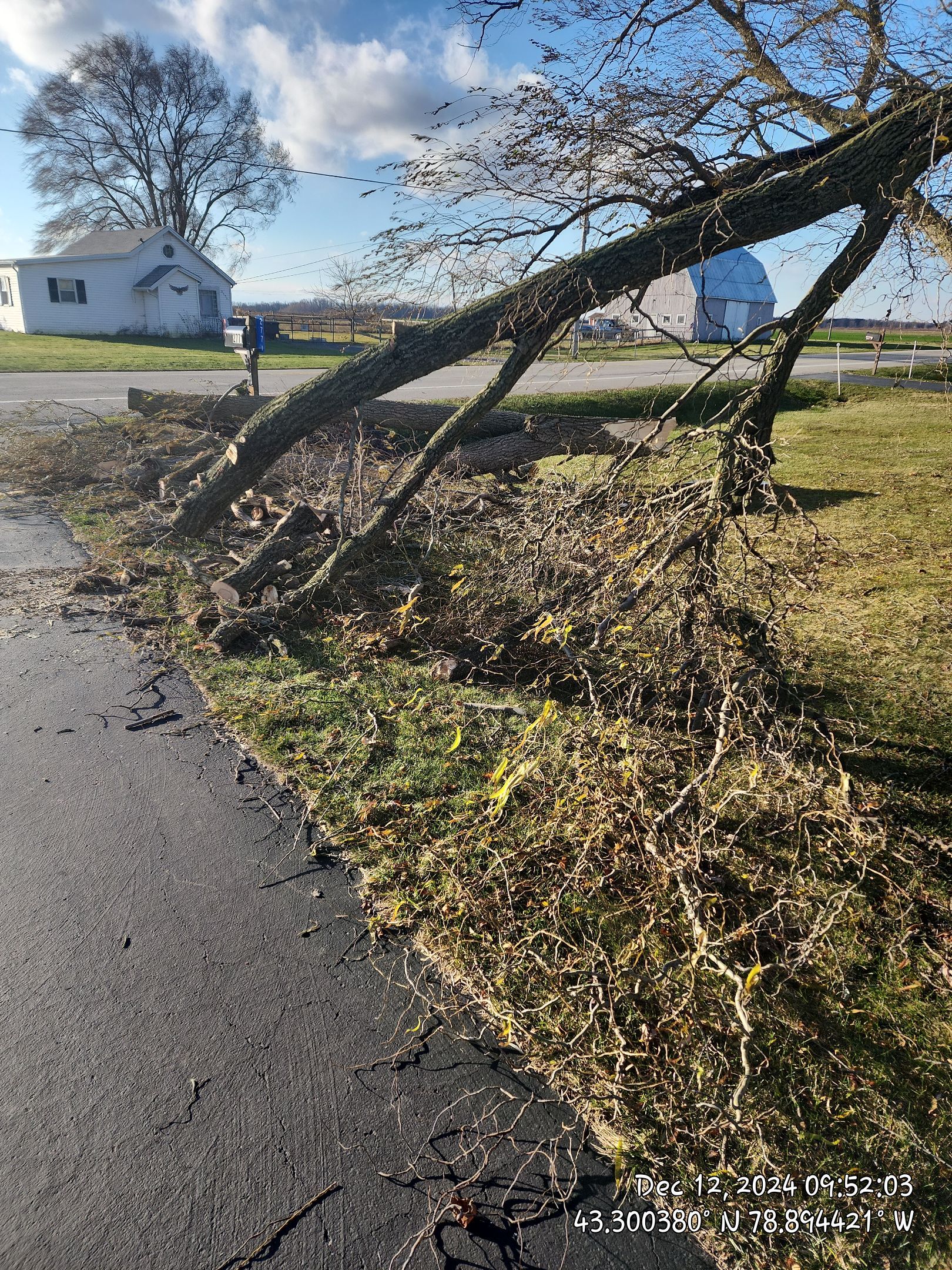 Emergency Job: Clear driveway by Treeman Tom LLC