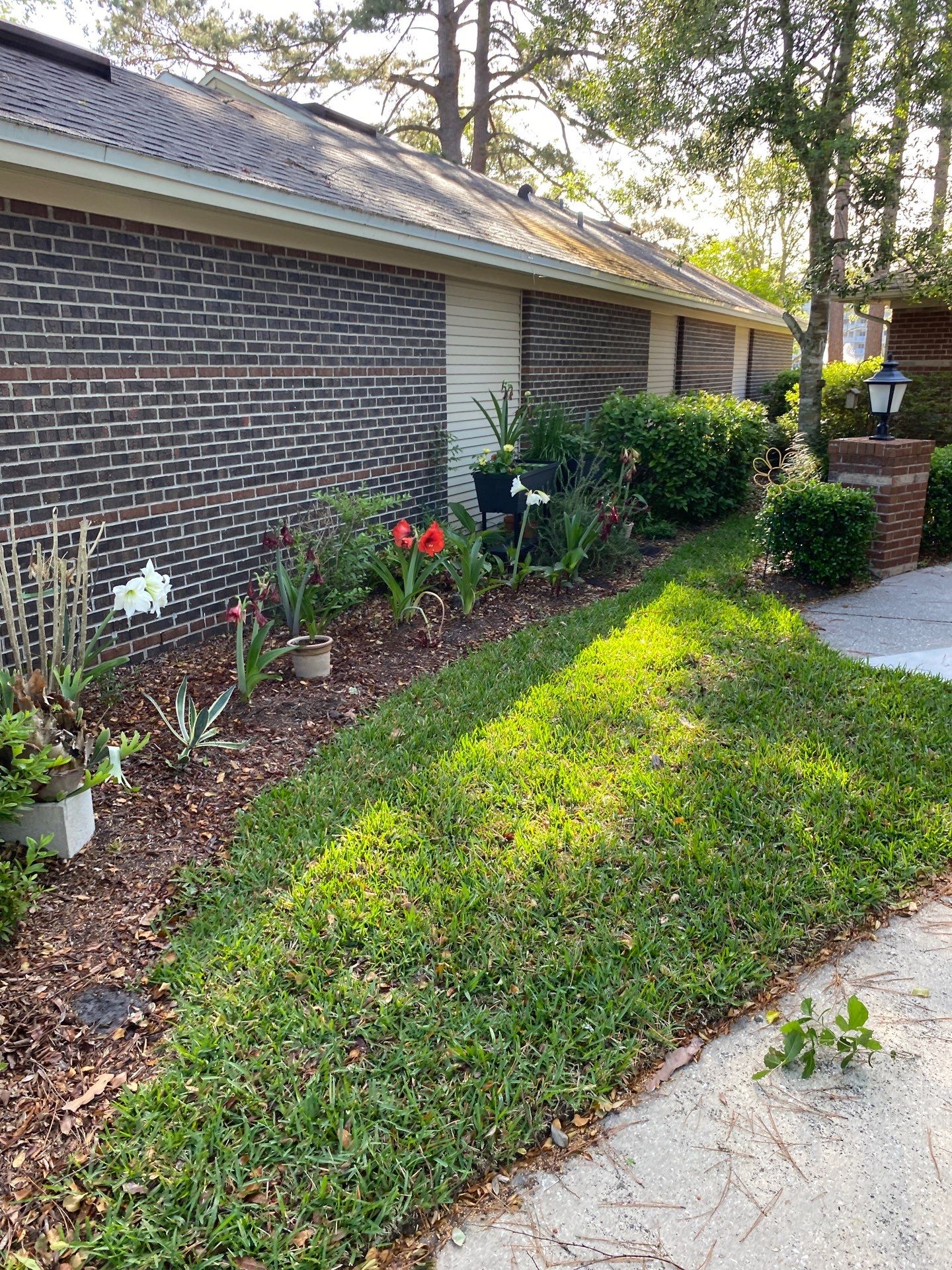 Residential | Volunteer Clean-Up by ProGreen Services