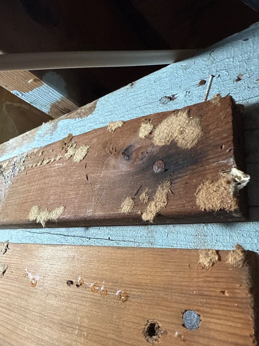 Post‑Remediation Clearance Test & Corrective Mold Remediation, Dover, DE. by Healthy Home Solutions