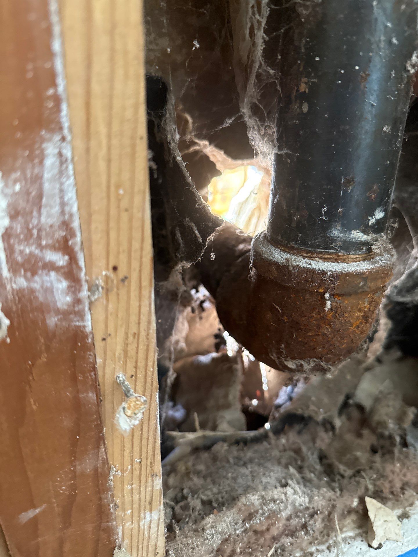 Project in Oklahoma City by PRO-ROOTER