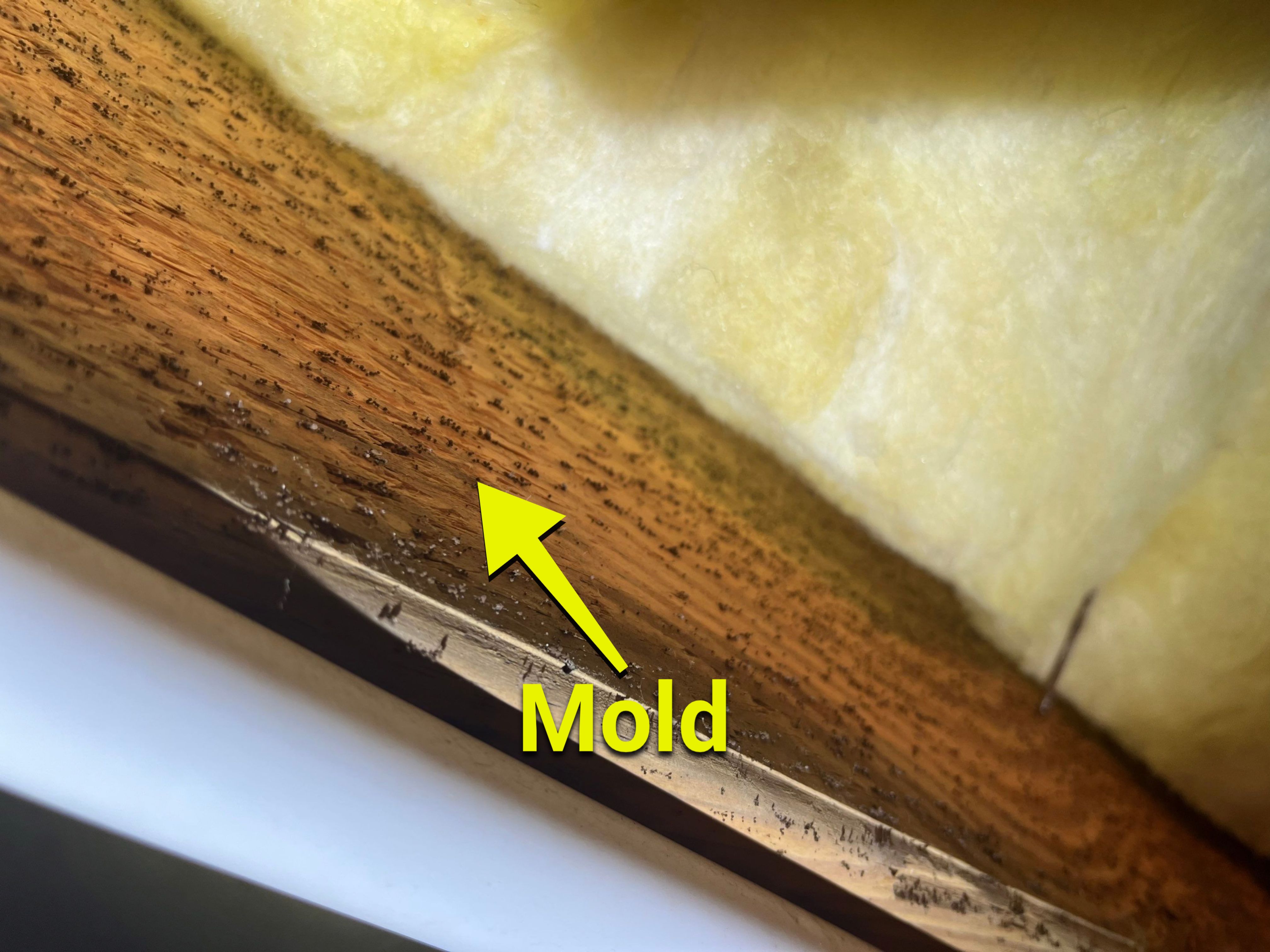 Dehumidifier and Moisture Barrier install with Structural repairs. by Impact Crawlspace