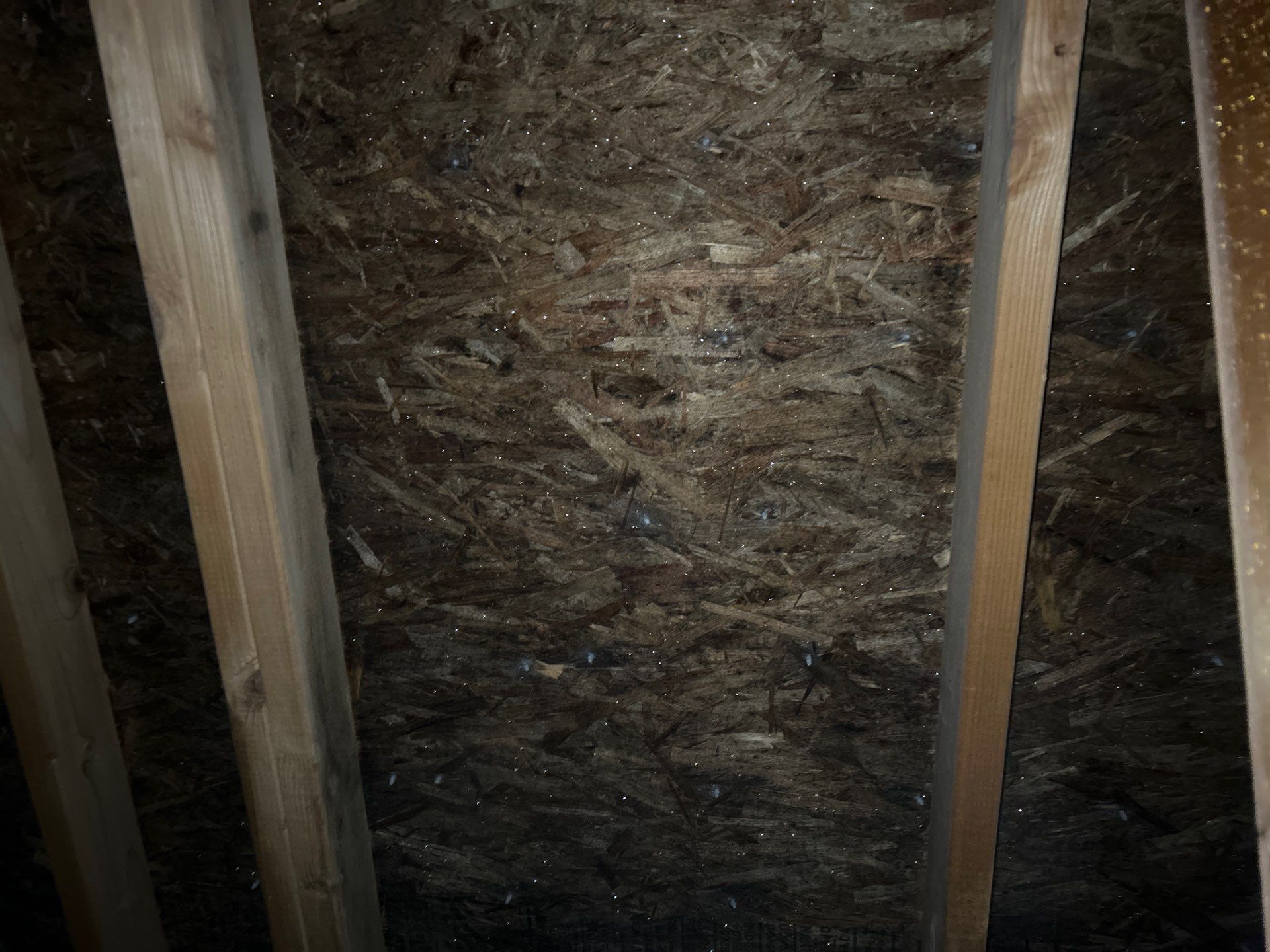 Project in Mukilteo by Peaks and Valleys Construction