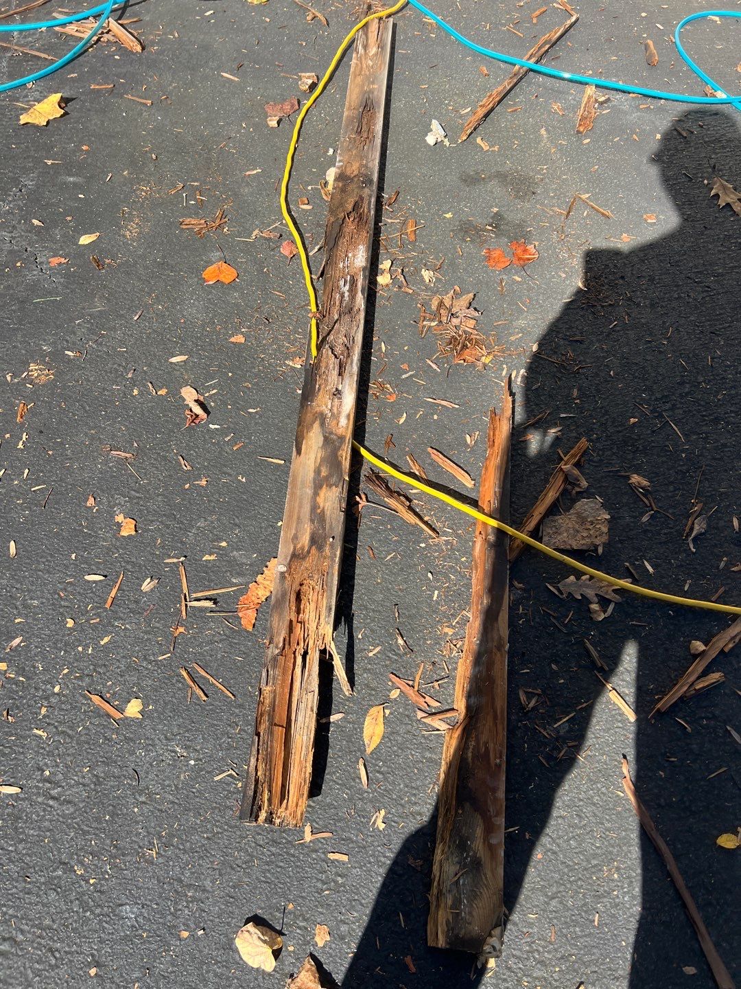 Vienna: Residential Roof Replacement with CertainTeed Landmark Designer Shingles in Burnt Sienna by RM Banning, Inc.