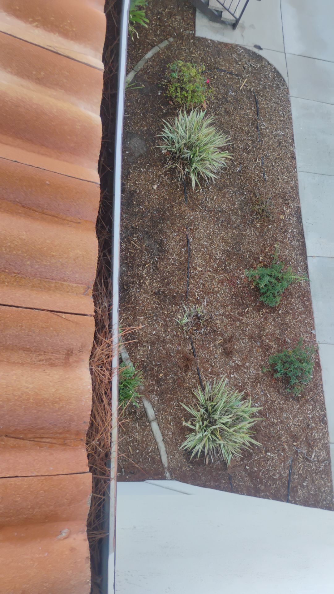 HOA gutter cleaning before photo