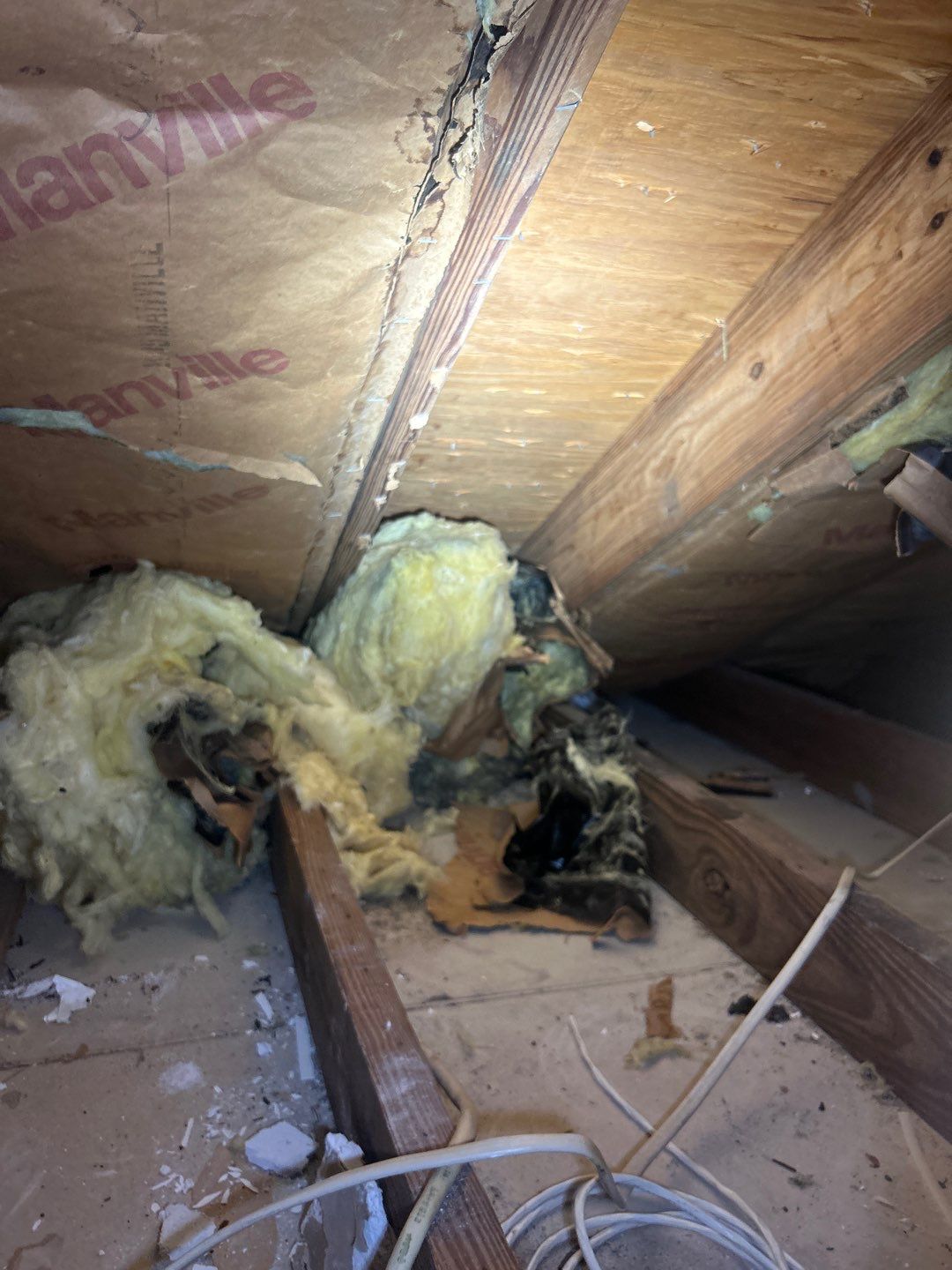 Ridge Skylight Repair and Shingle Roof Maintenance in Winter Park by Fortified Roofing Solutions Corp.