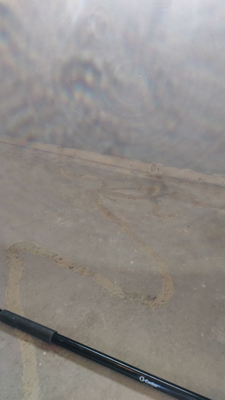 Mold Remediation by Accountable Home Services