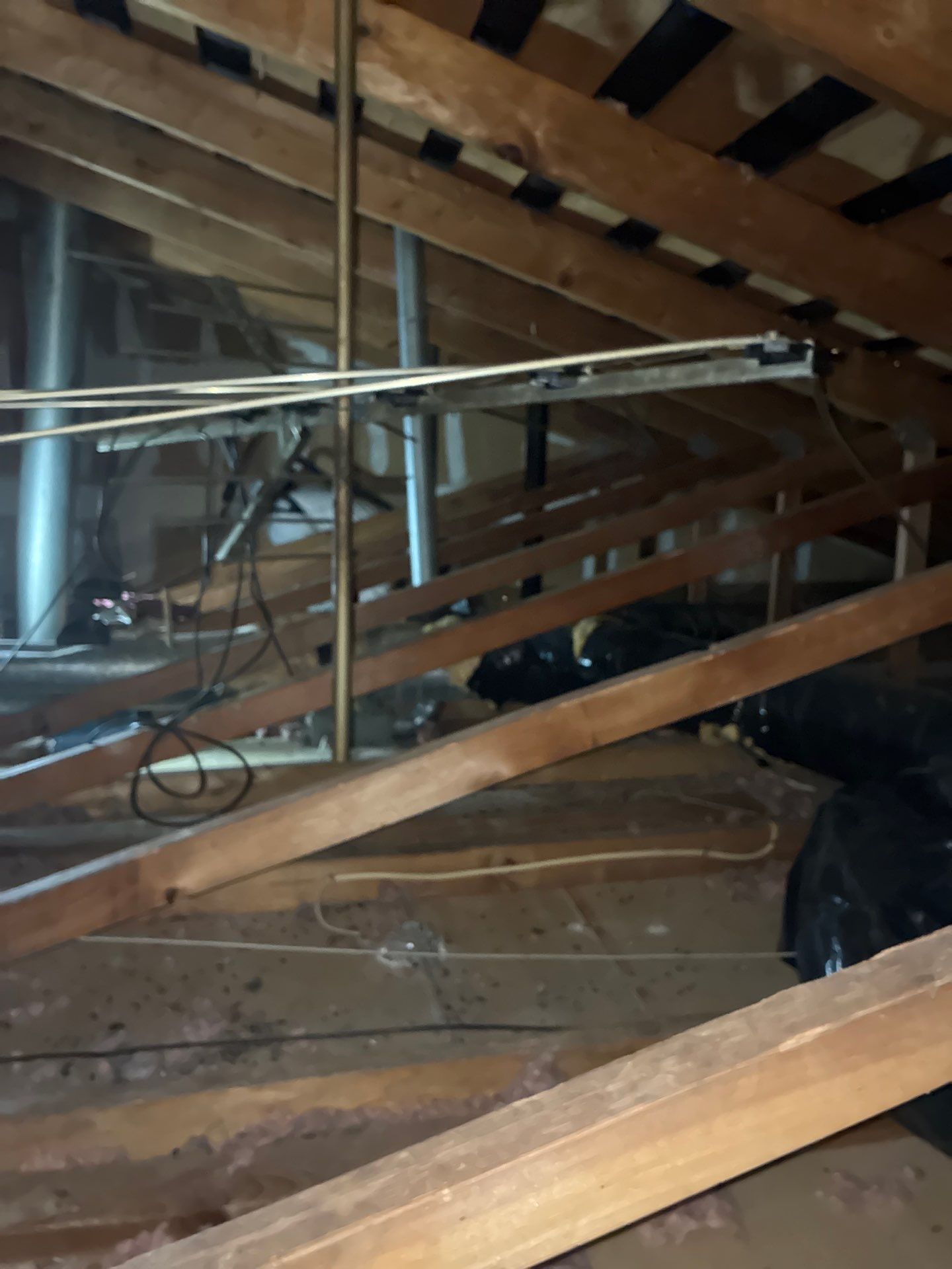 Project in Sacramento by 911 Hazmat Cleanup