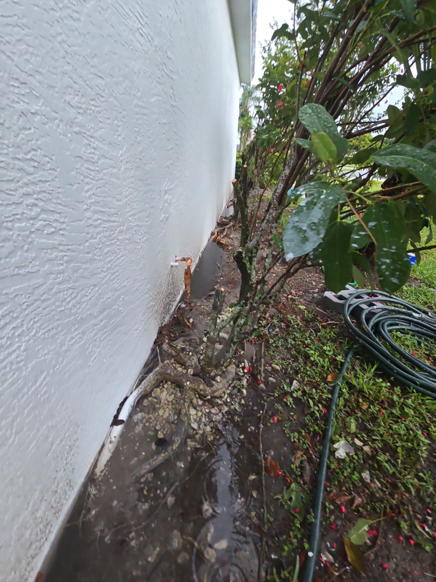 CoolWall Project in Sarasota by Sunbelt Home Solutions