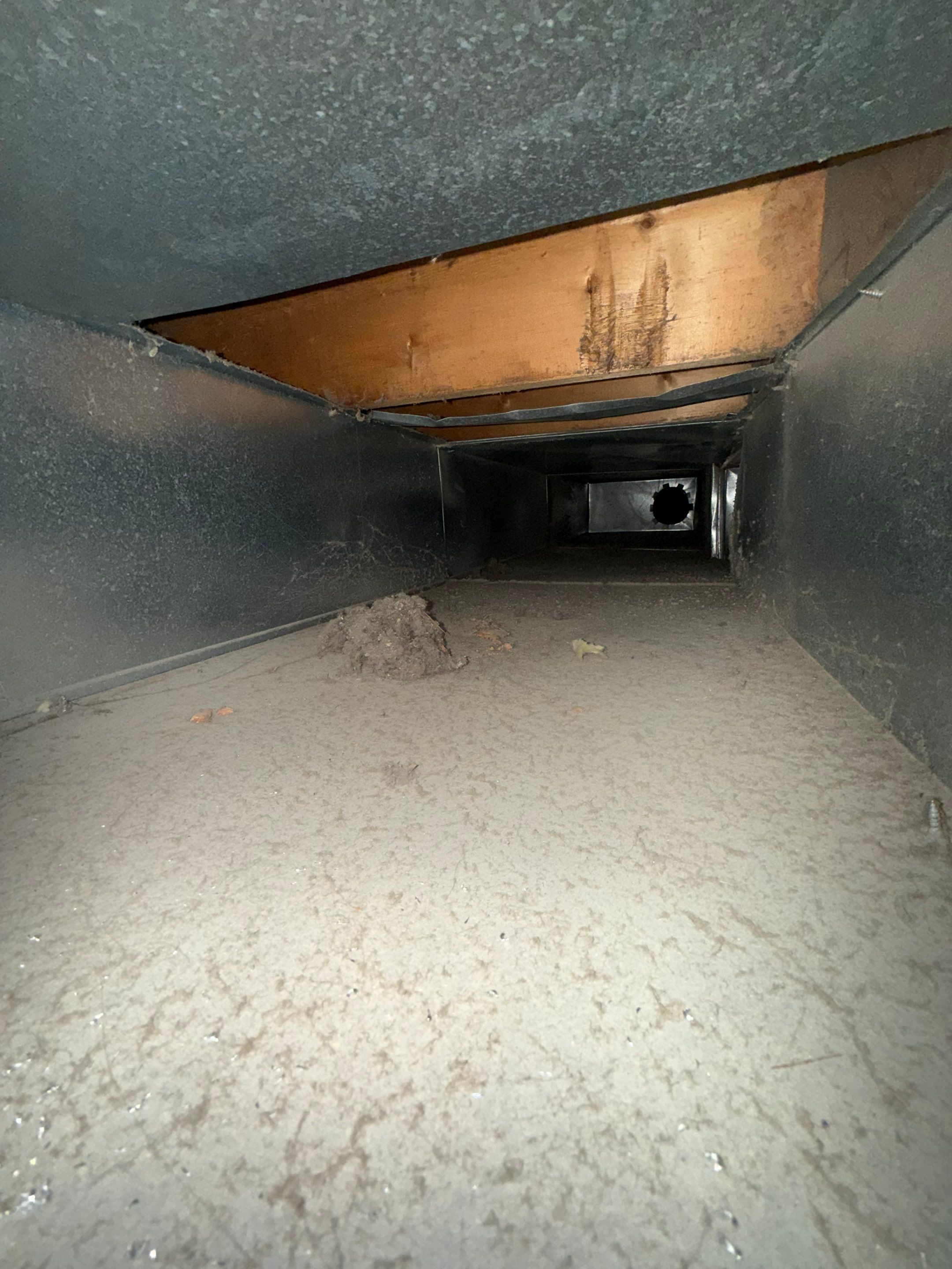 Duct Cleaning and Germicidal Kit Install in Woodstock by Elemental Heating and air conditioning LLC